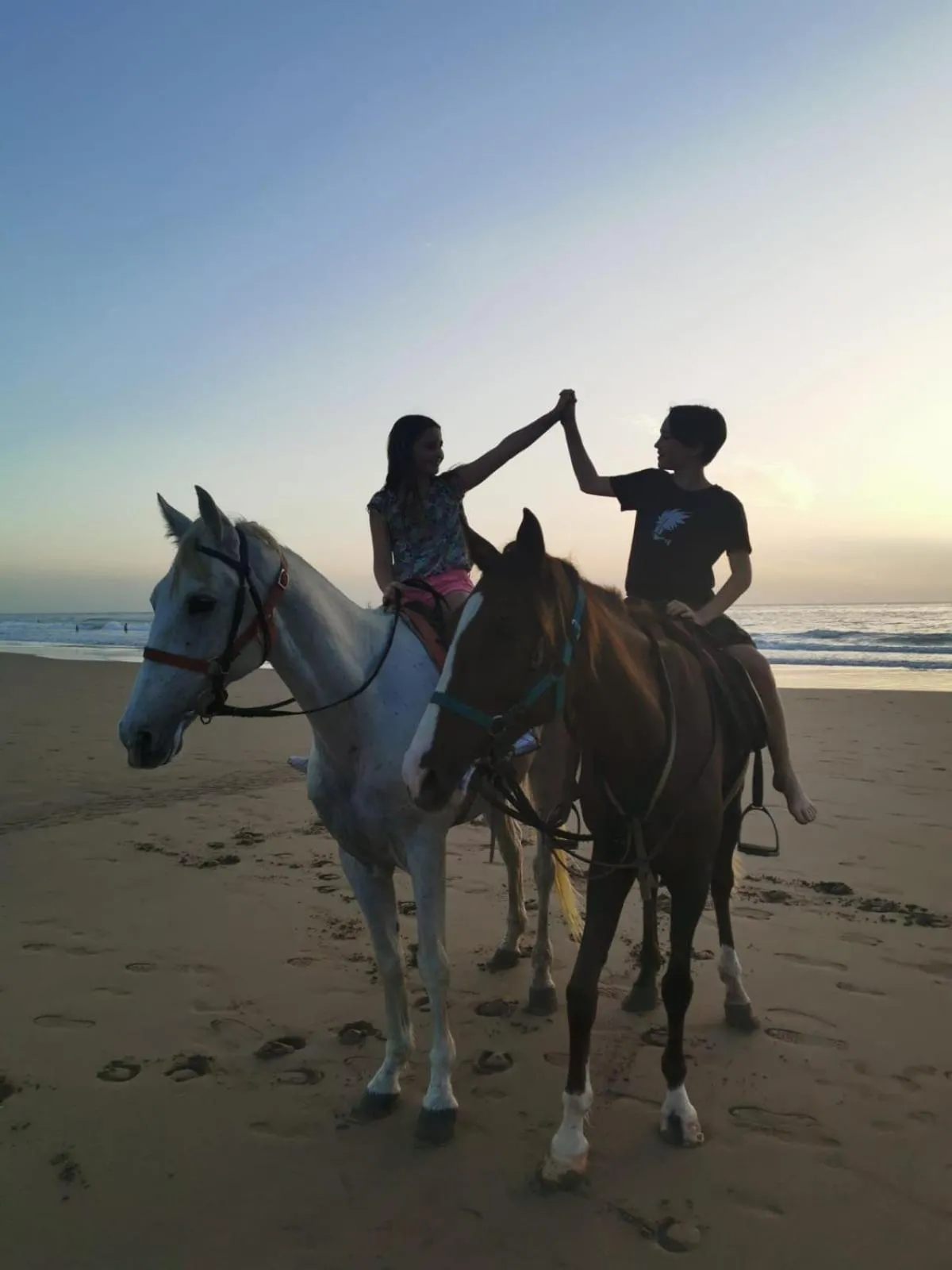 Horse-riding in Maison Darna Guesthouse