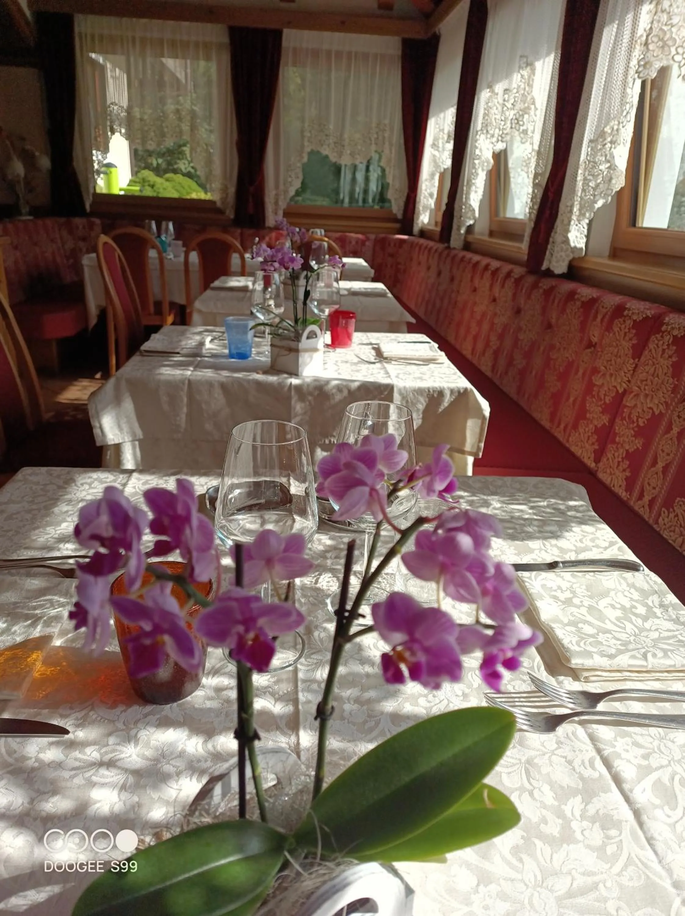 Restaurant/places to eat in Park Hotel Arnica