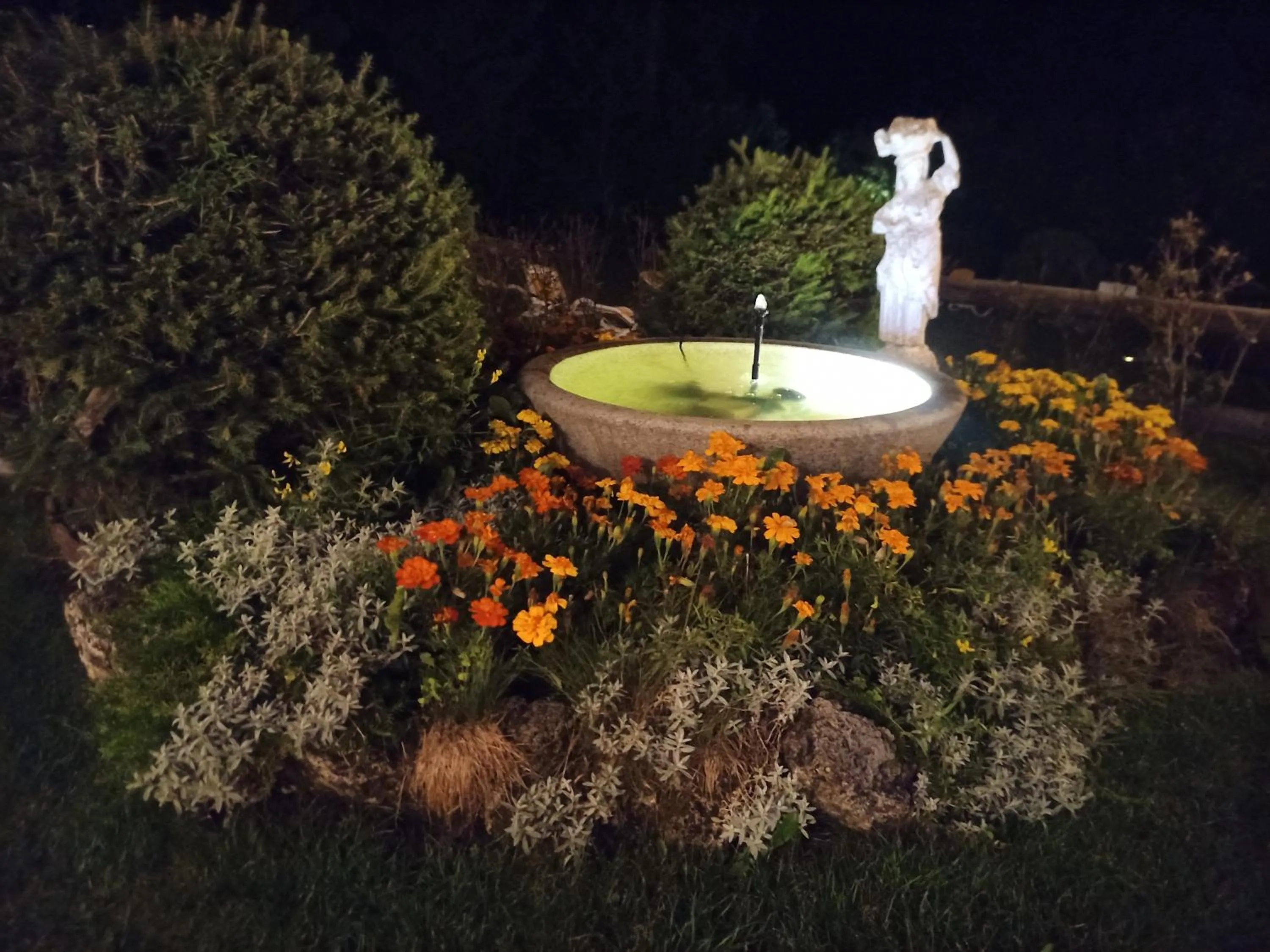 Garden in Park Hotel Arnica