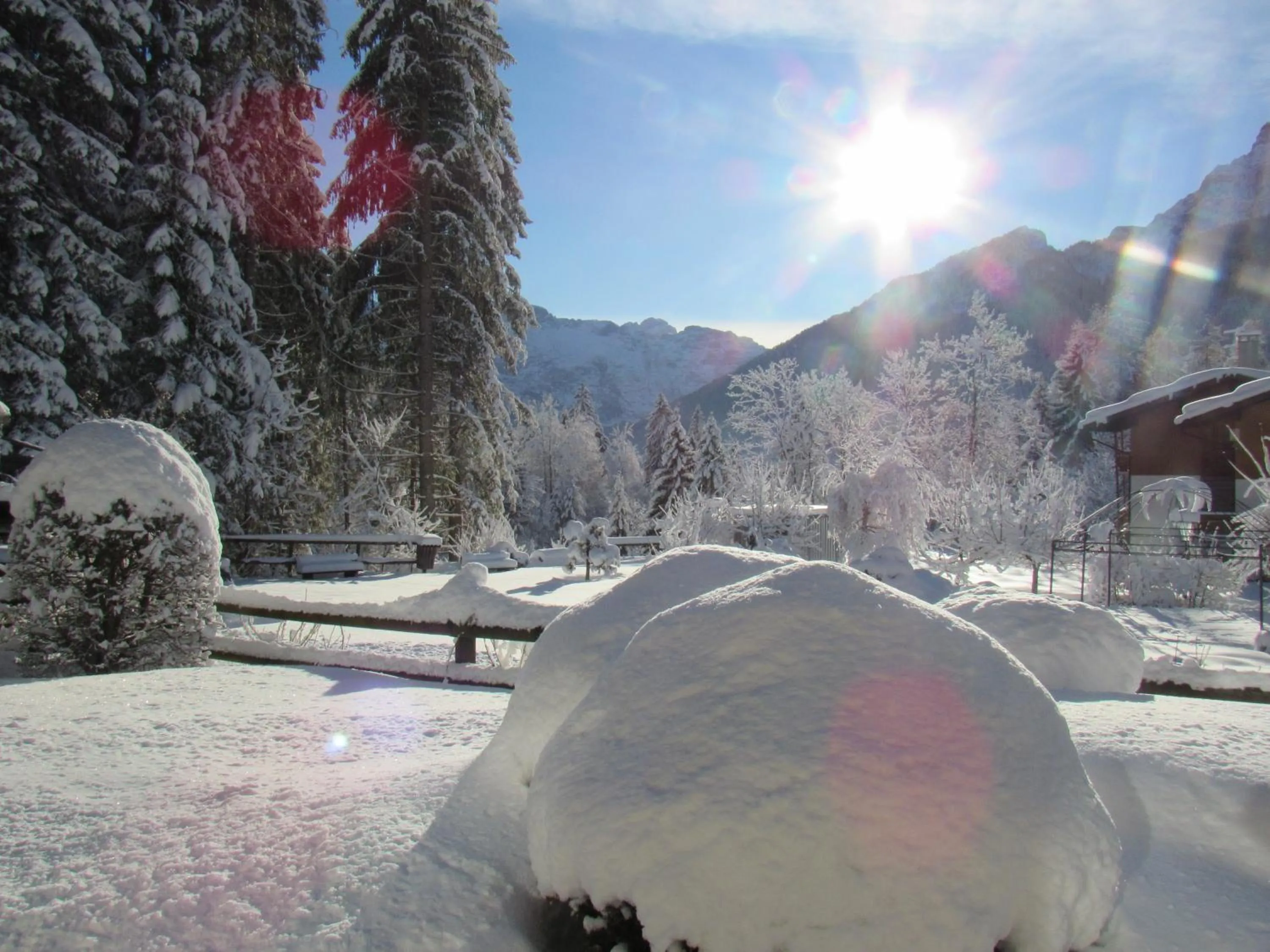 Mountain view in Park Hotel Arnica