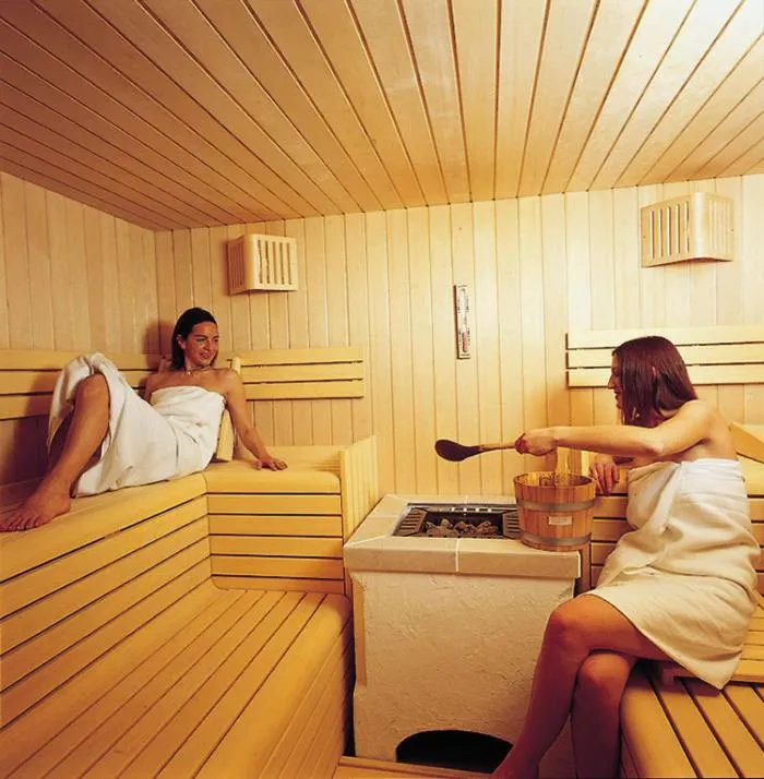 Sauna in Park Hotel Arnica