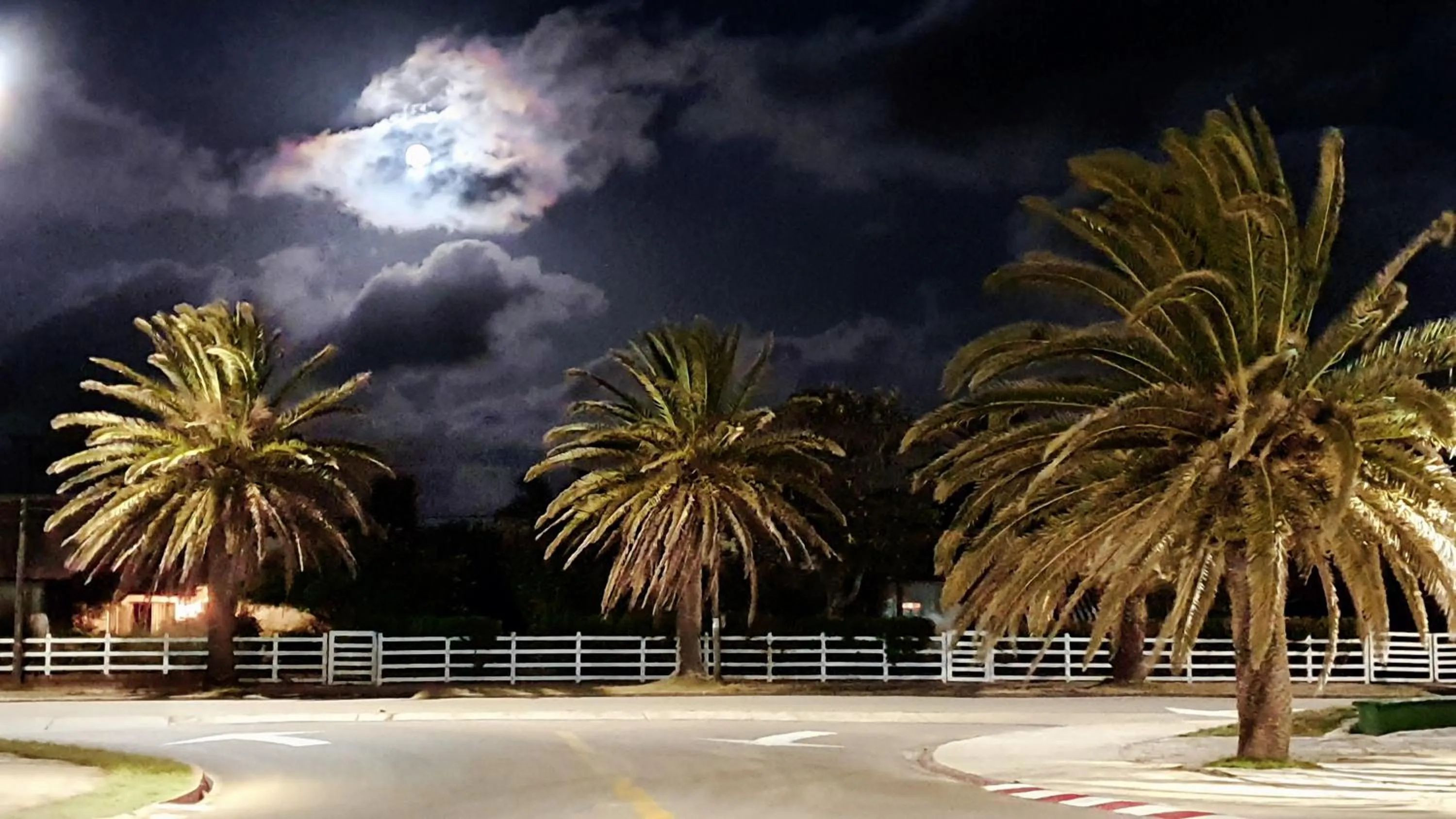 Night in Hotel Viola