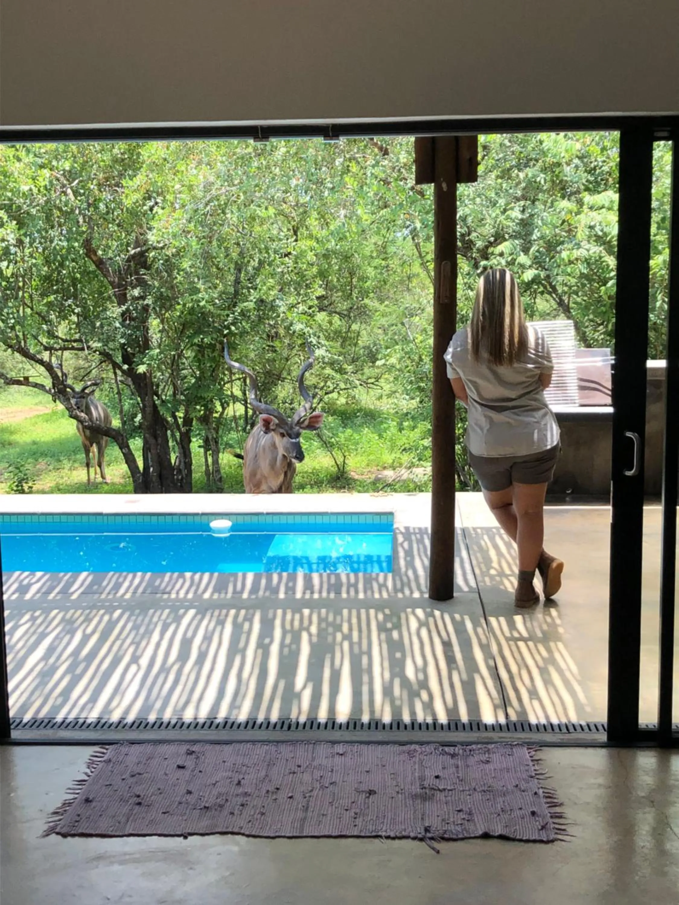 Swimming pool in Kruger Willows