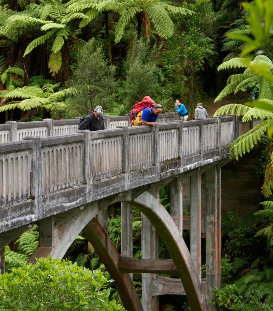 Activities in Alexander Motel