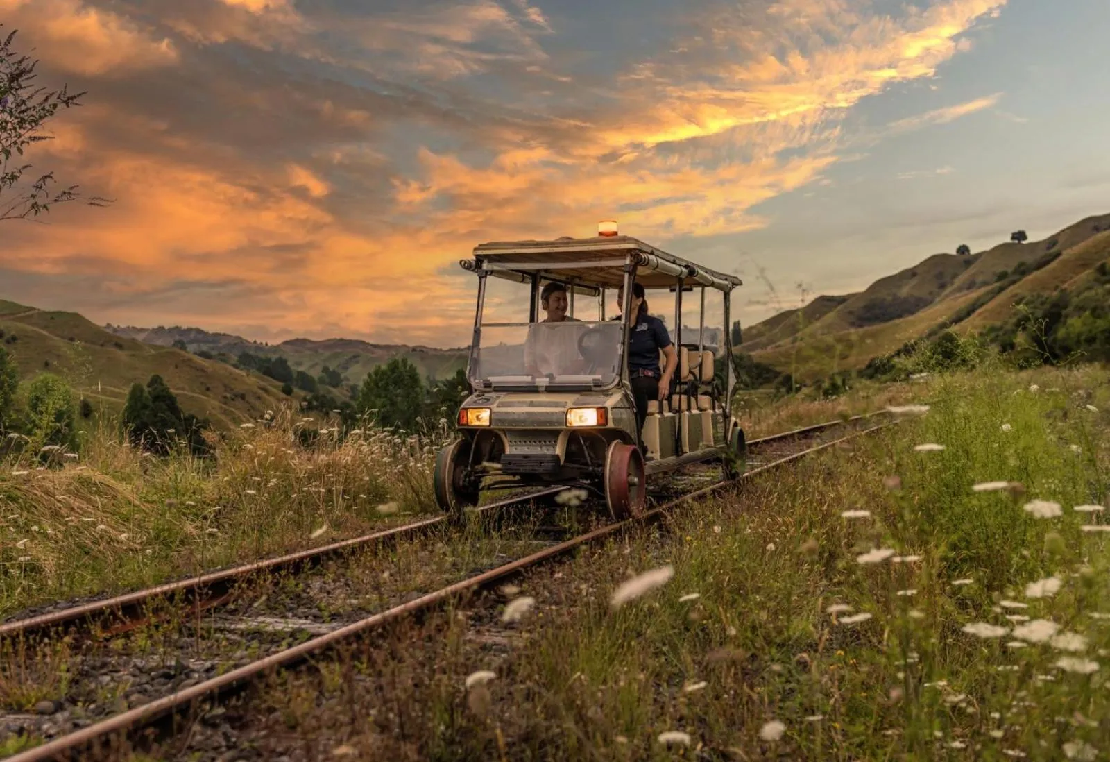Activities in Alexander Motel