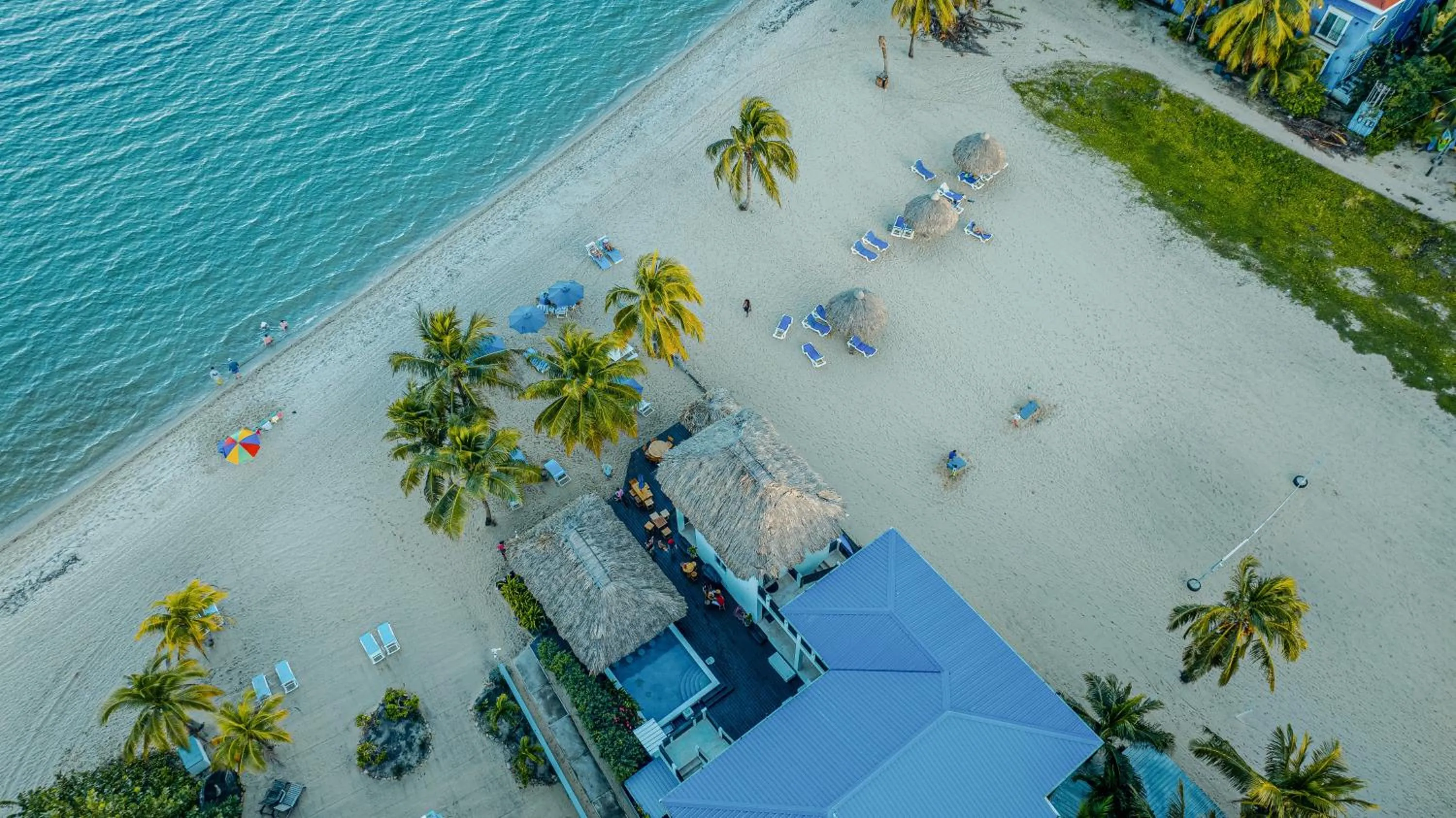 Beach in Ocean Breeze