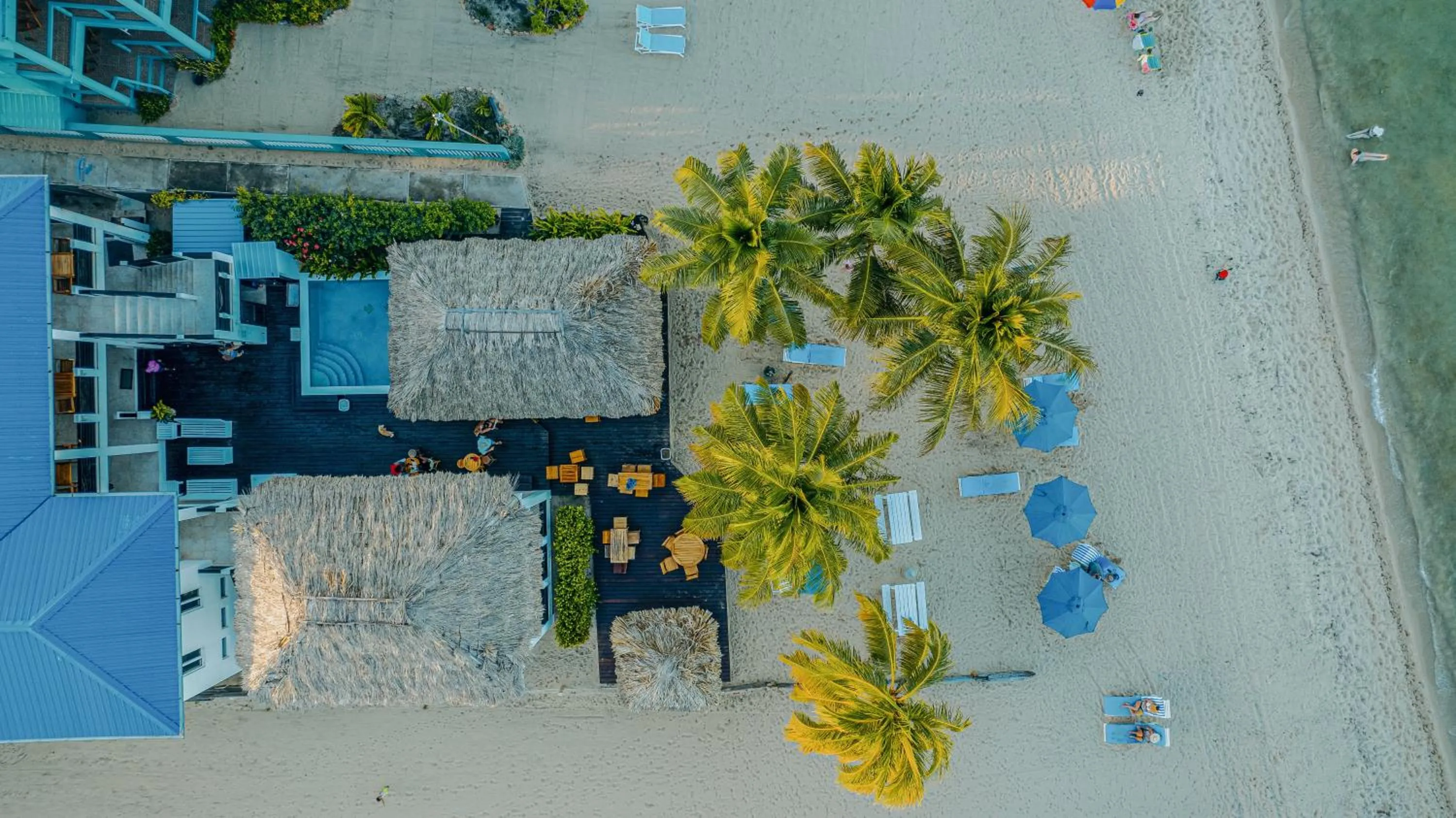 Bird's eye view in Ocean Breeze