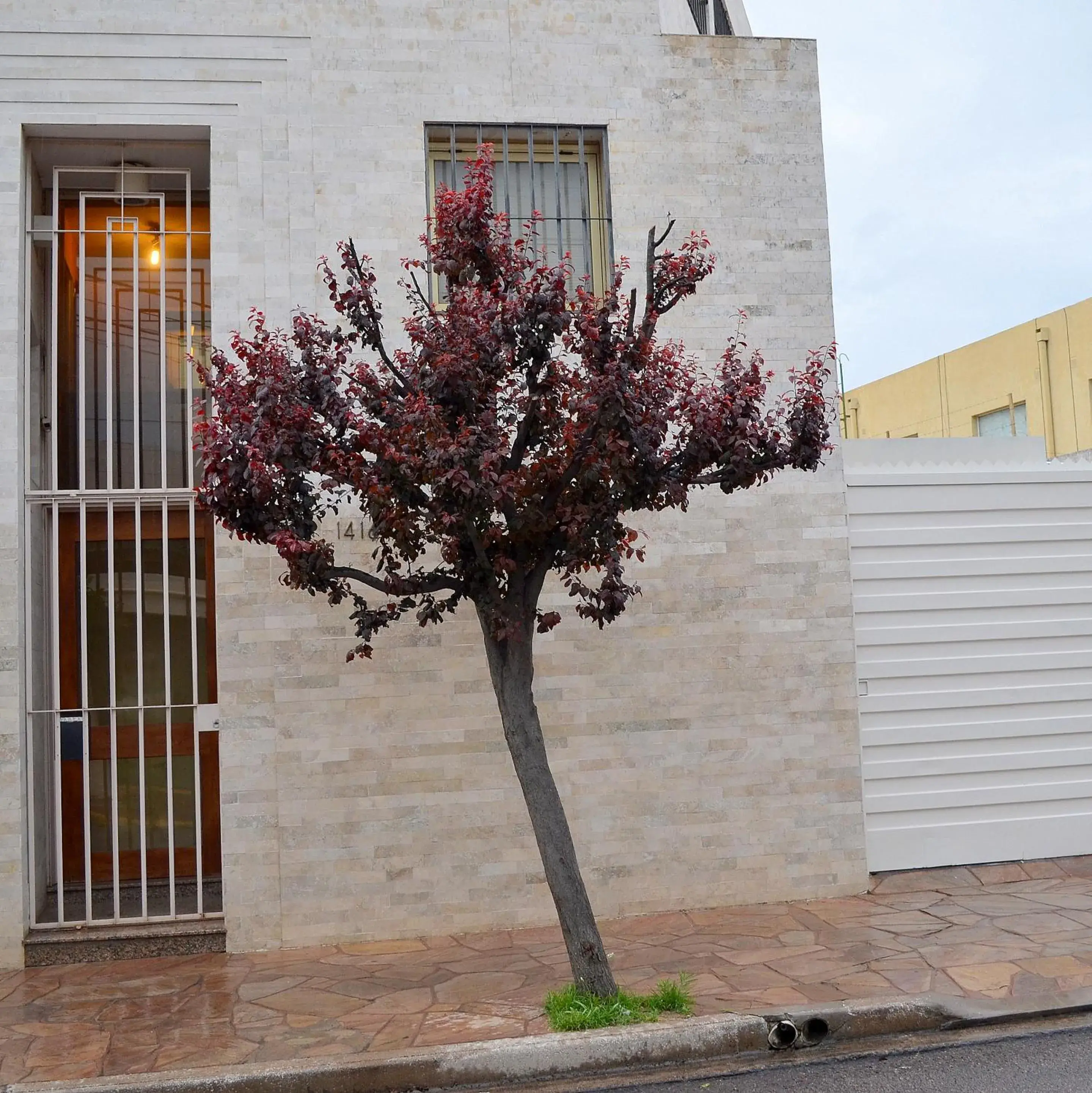 Vía Lavalle Suites 1 Vía Lavalle Suites 1