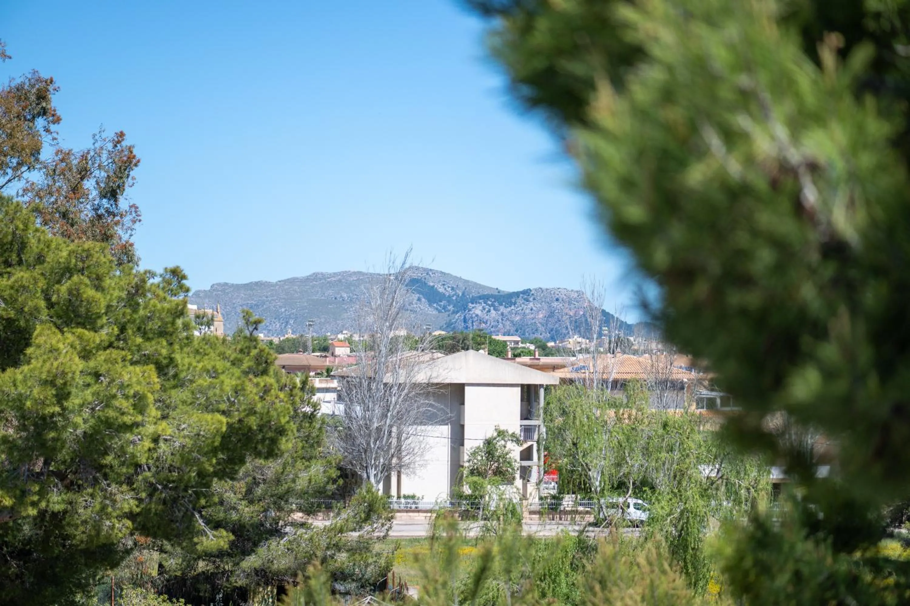 Apartamento Minerva