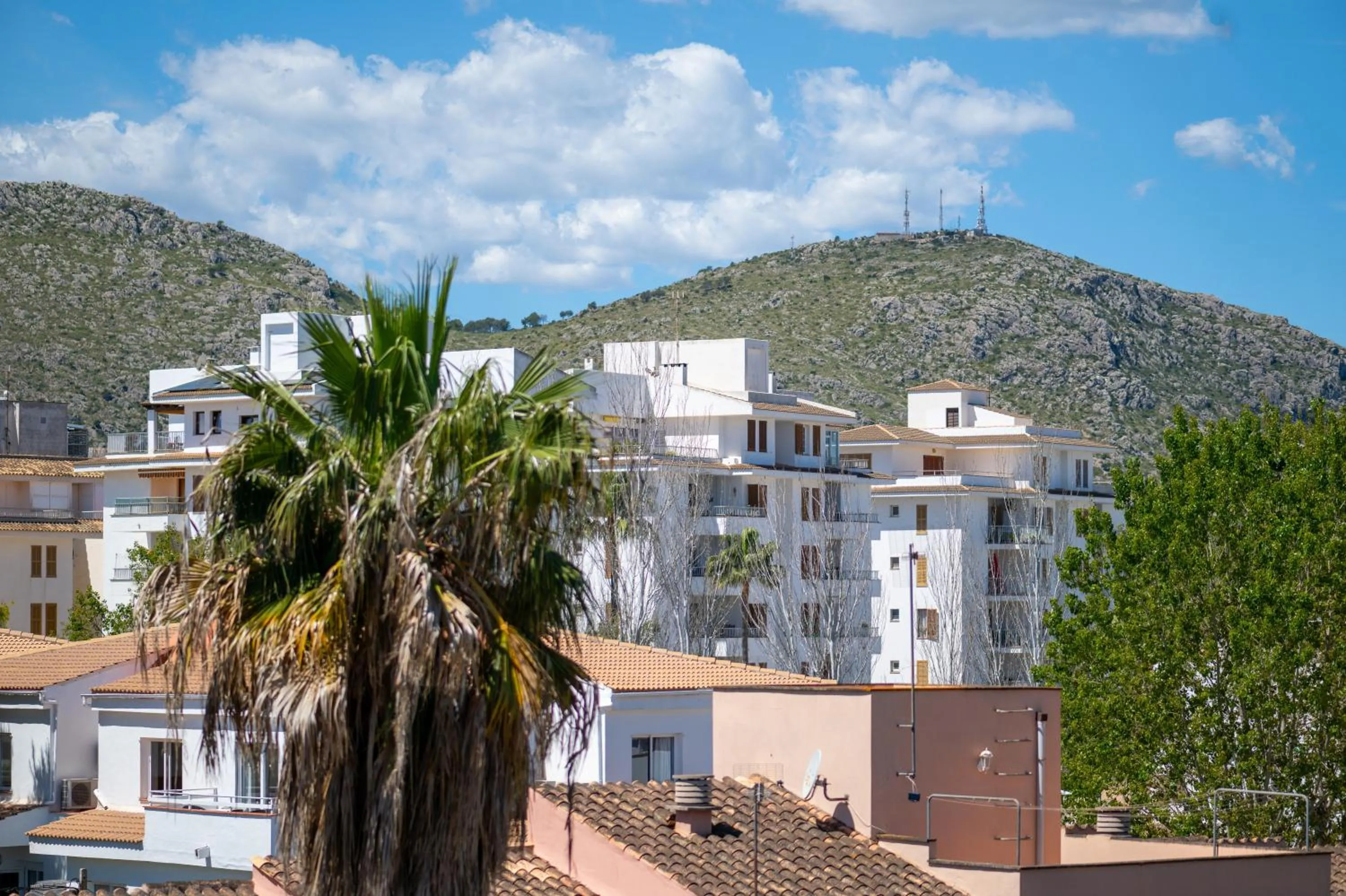 Apartamento Minerva