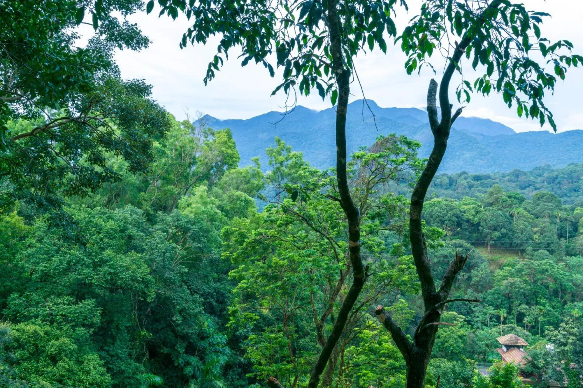 Mountain view in Upavan Resort Mountain view in Upavan Resort