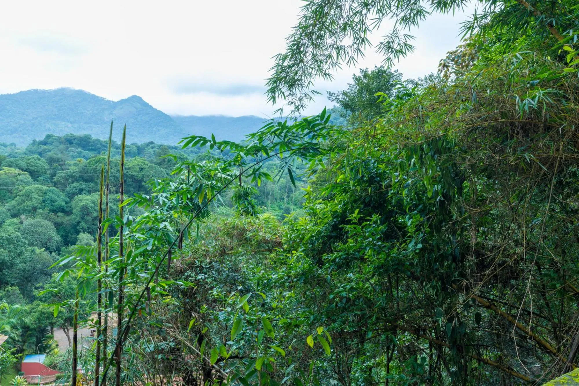 View (from property/room) in Upavan Resort