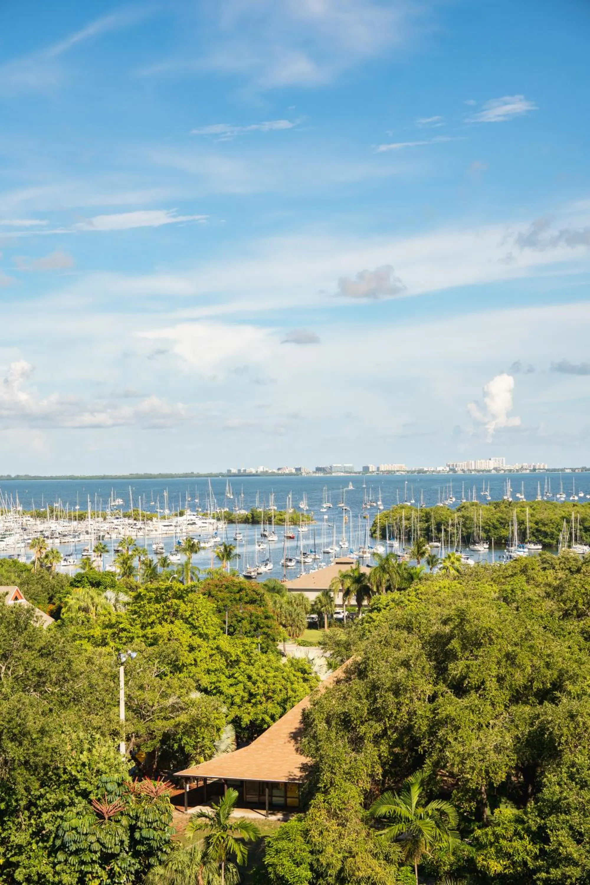 View (from property/room) in Mr. C Miami - Coconut Grove