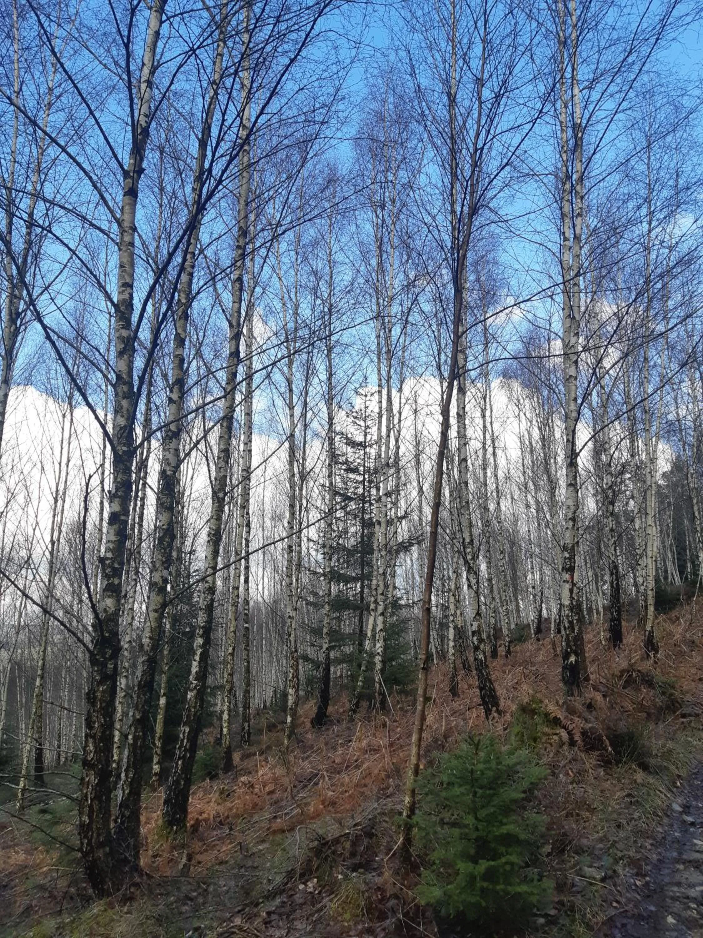 Hiking in B&B Caprice d'Epices