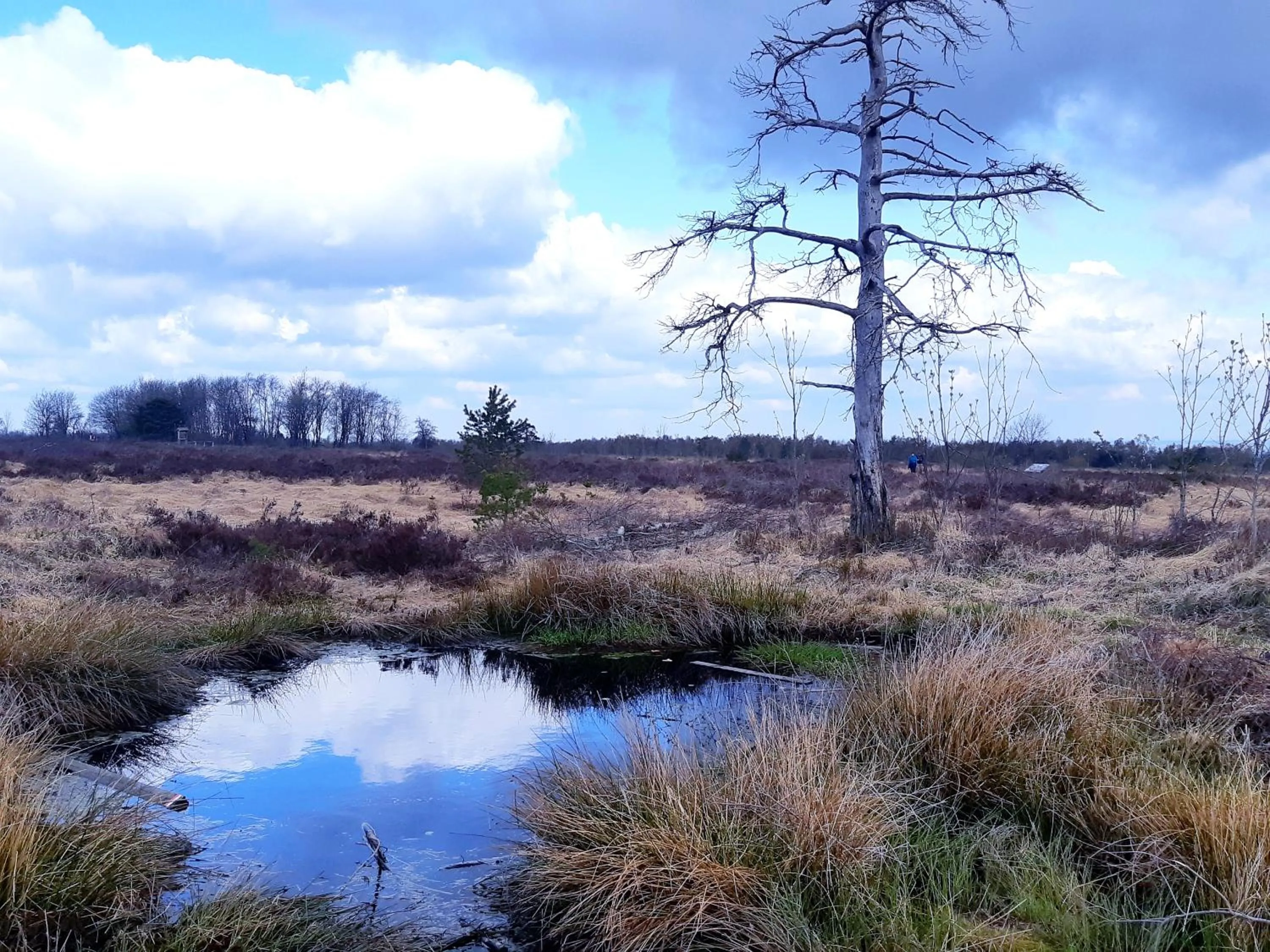 Natural landscape in B&B Caprice d'Epices