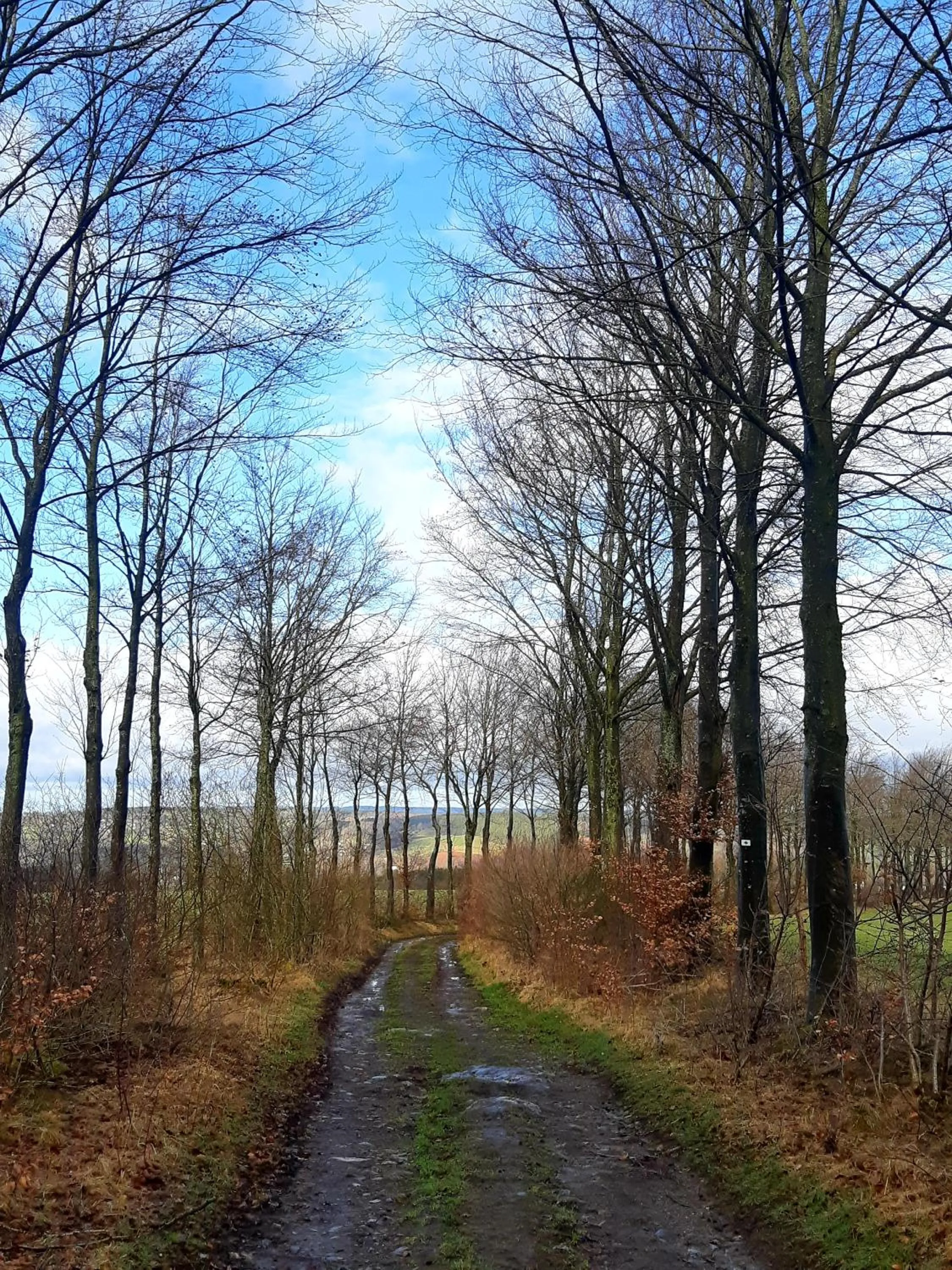 Hiking in B&B Caprice d'Epices