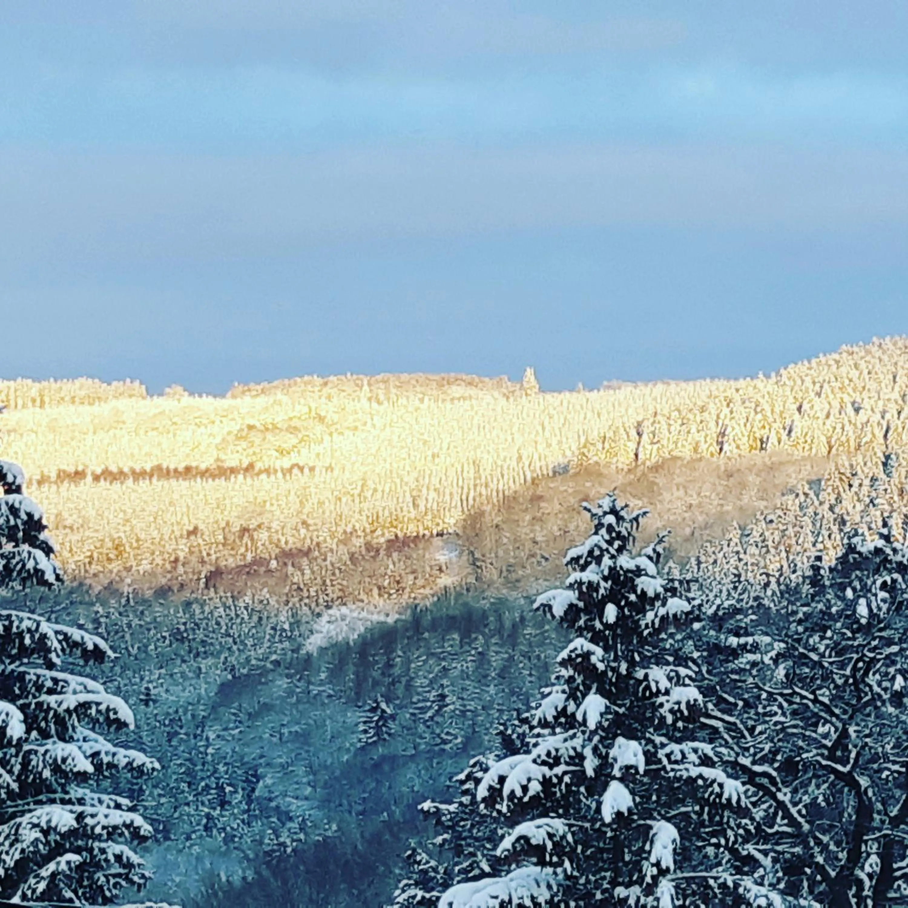 Natural landscape in B&B Caprice d'Epices