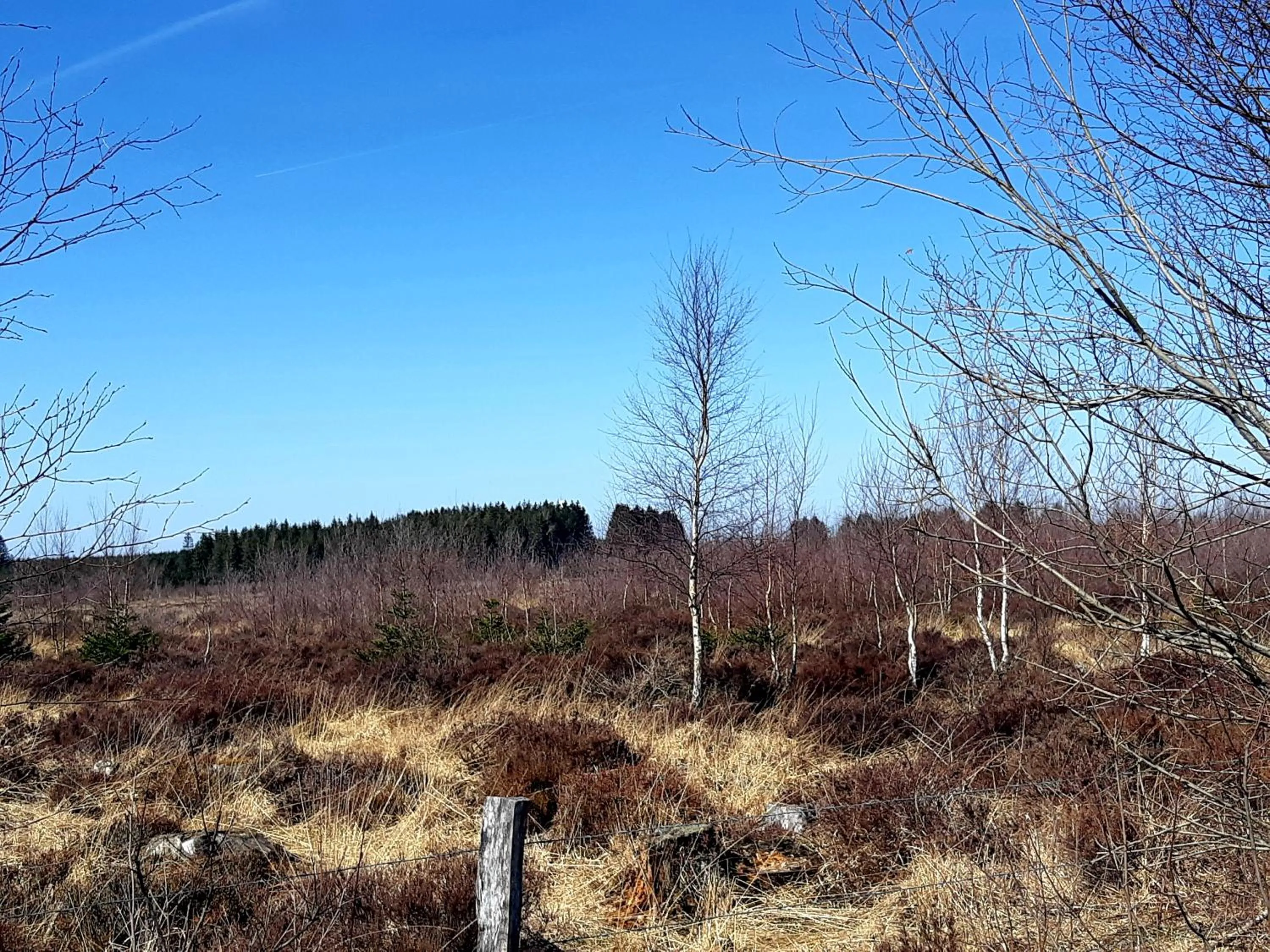 Natural landscape in B&B Caprice d'Epices