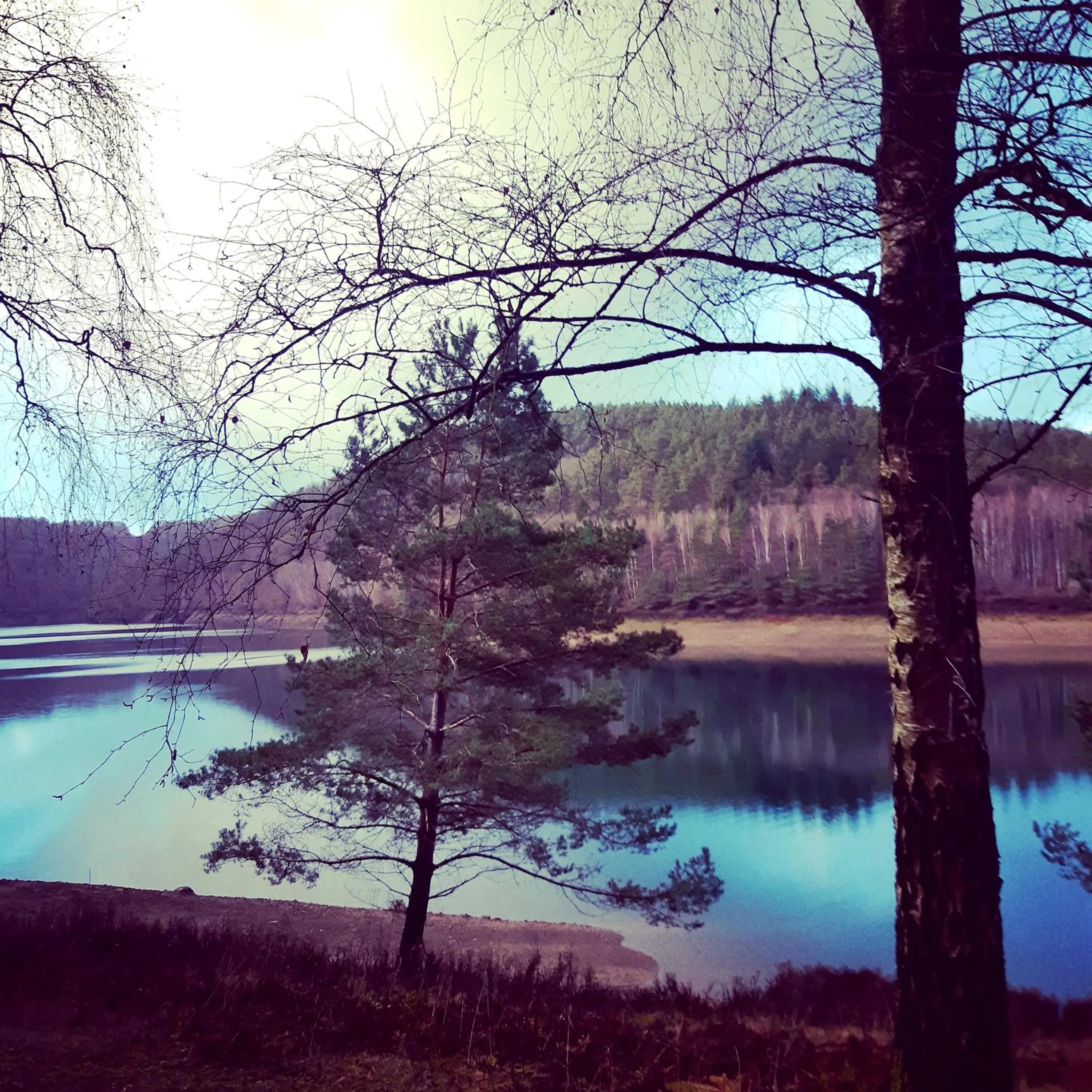 Natural landscape in B&B Caprice d'Epices