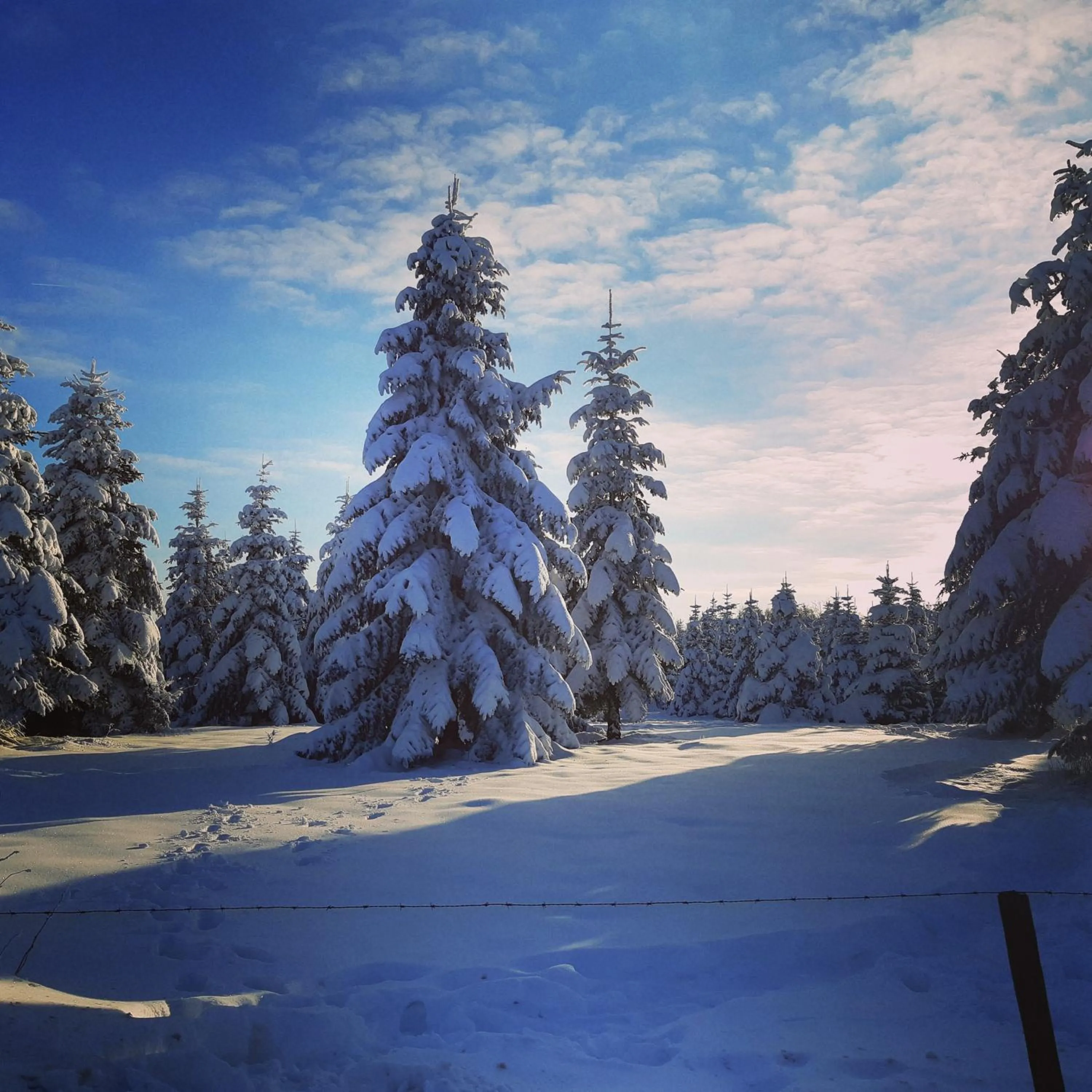 Natural landscape in B&B Caprice d'Epices