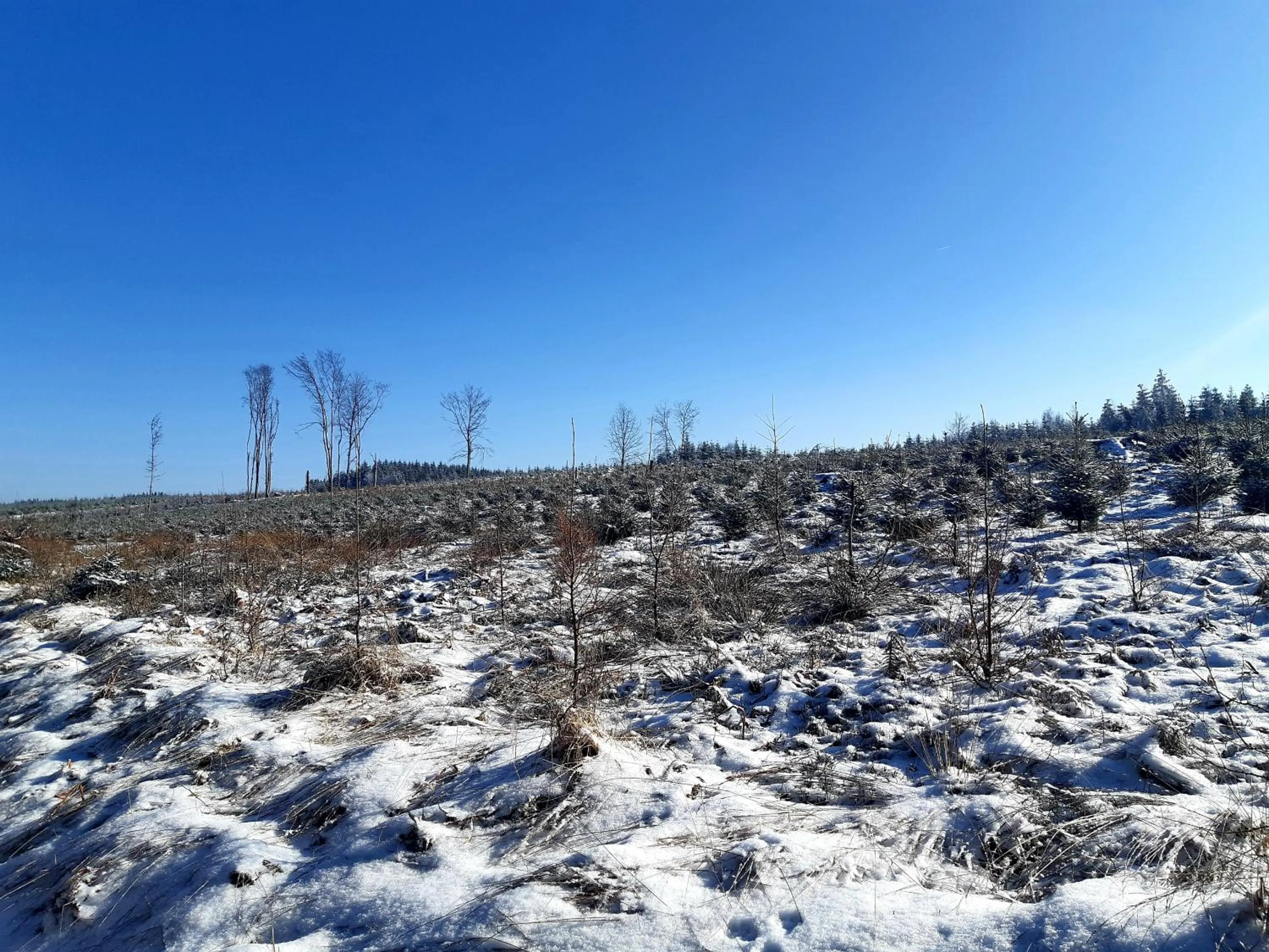Natural landscape in B&B Caprice d'Epices