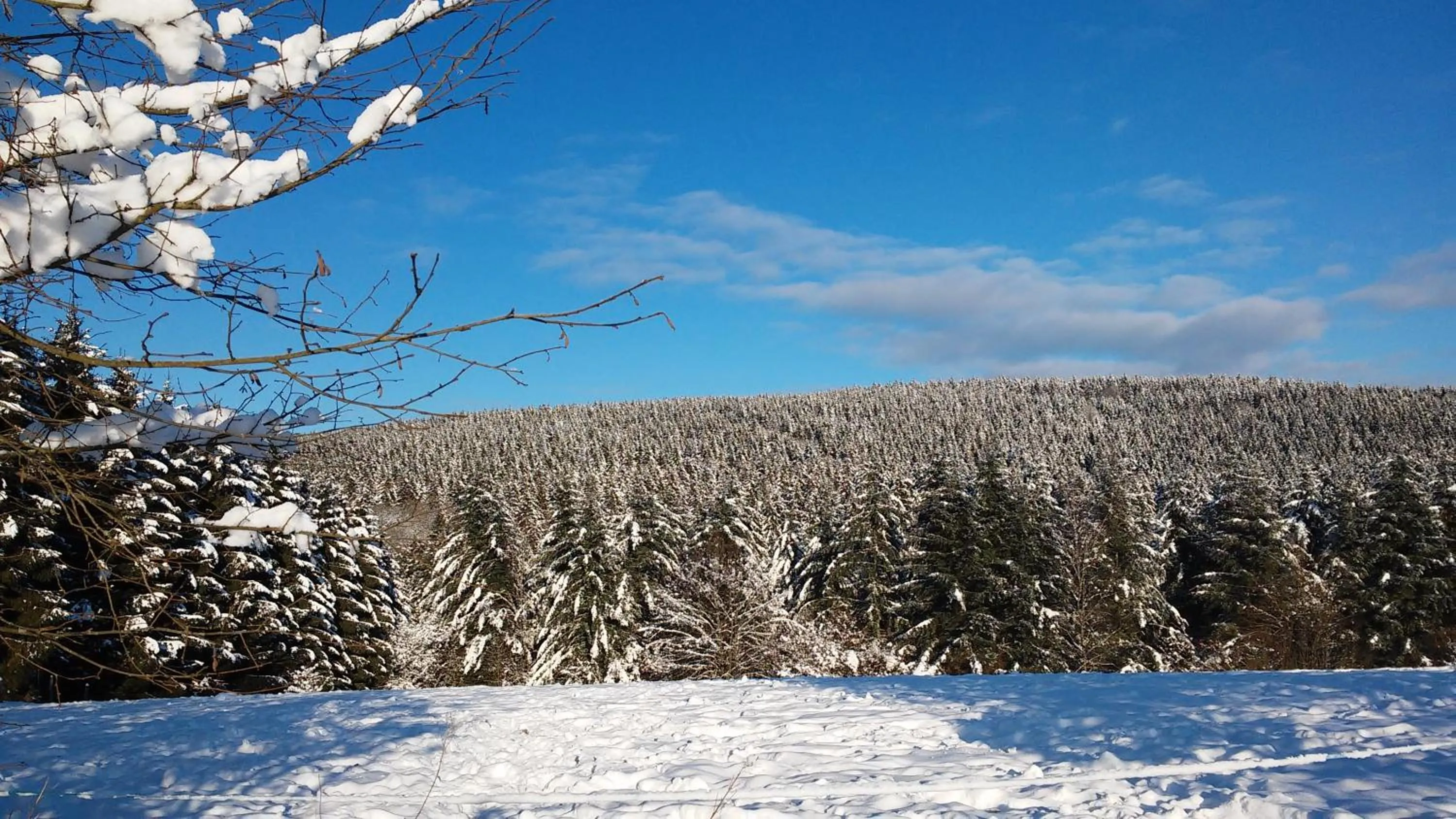 Skiing in B&B Caprice d'Epices