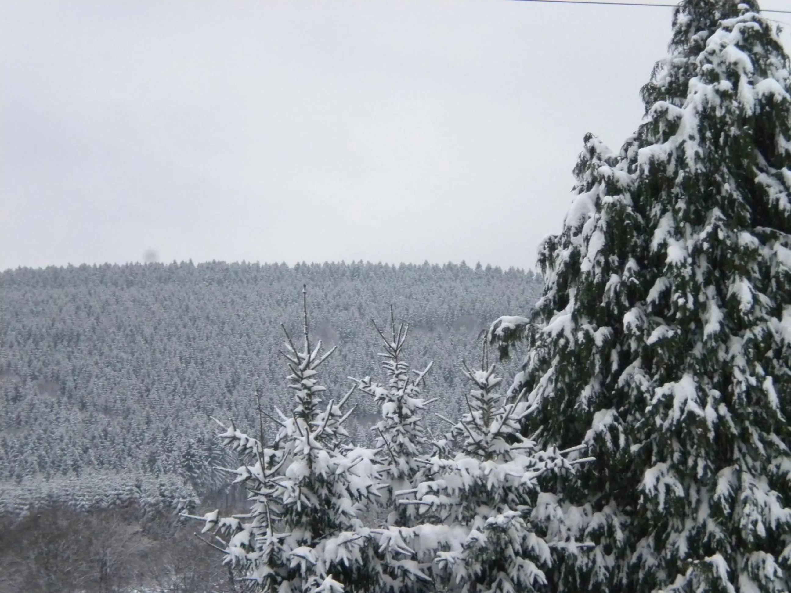 Bird's eye view in B&B Caprice d'Epices