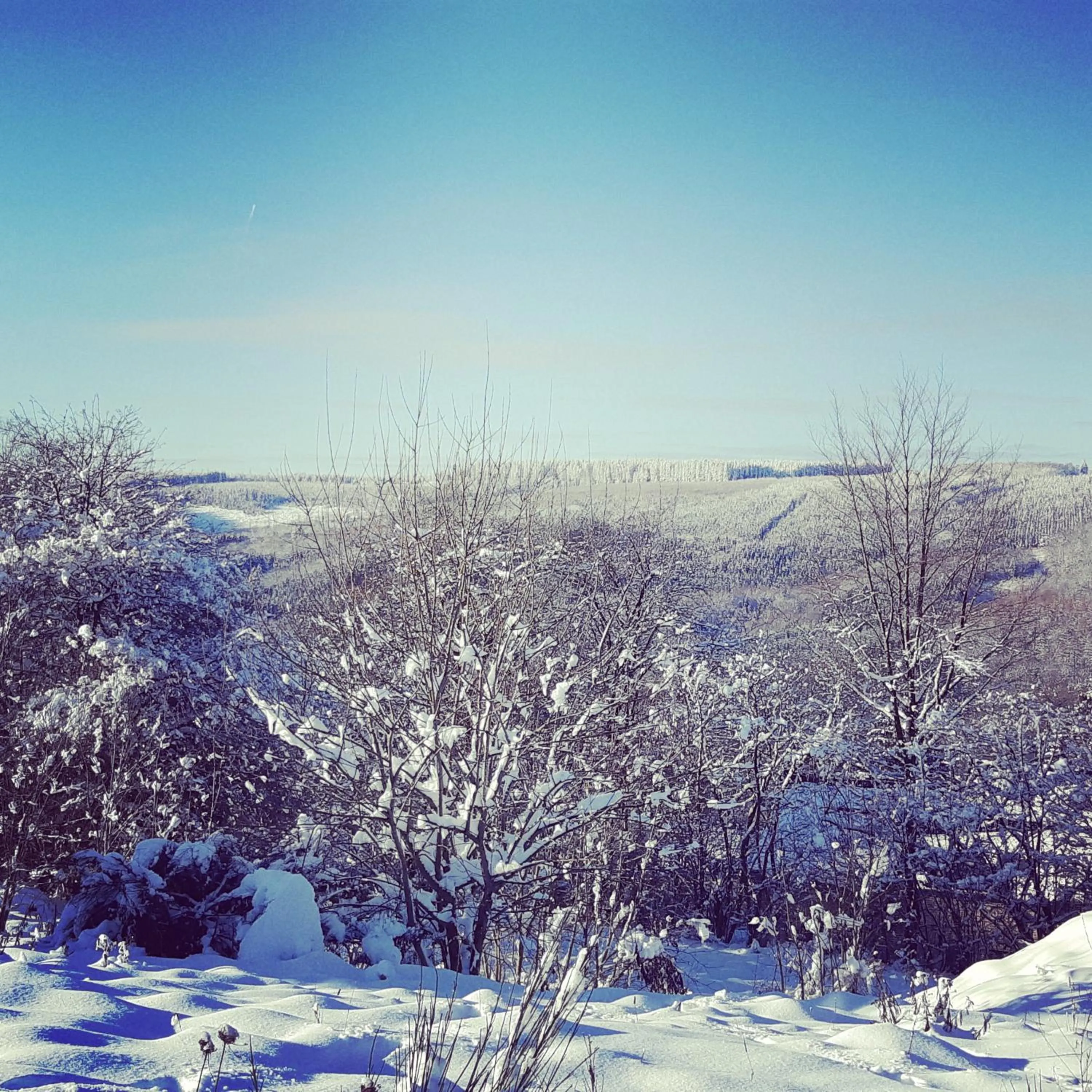 Natural landscape in B&B Caprice d'Epices
