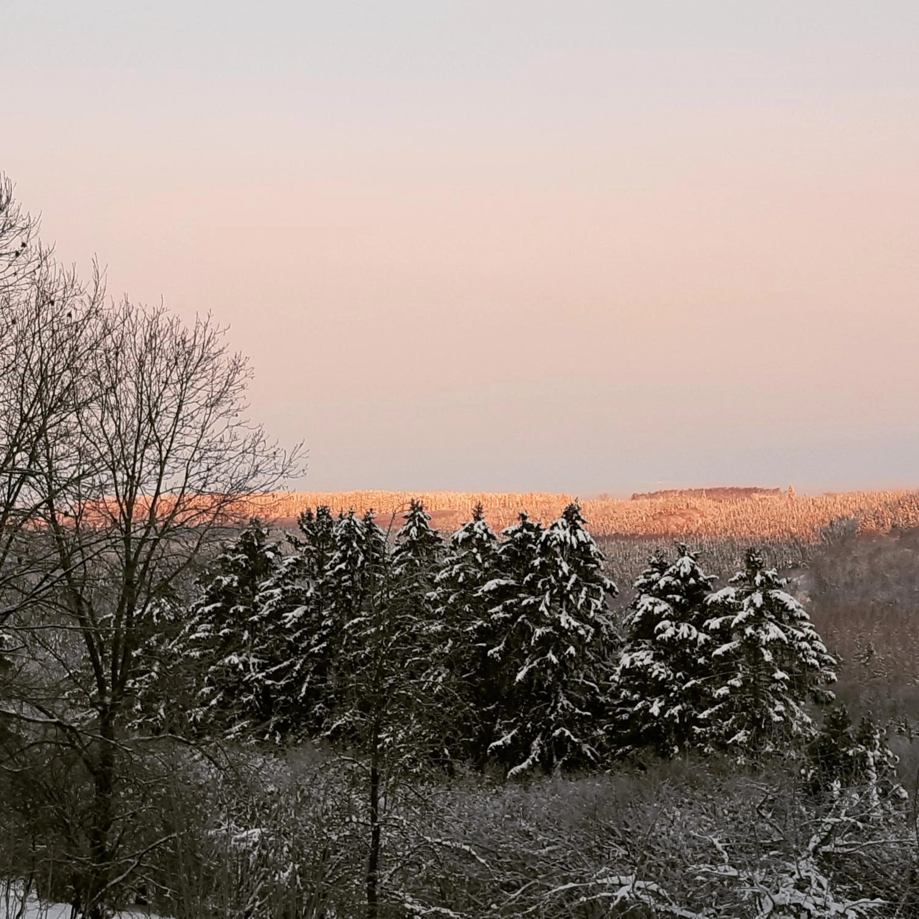 Natural landscape in B&B Caprice d'Epices