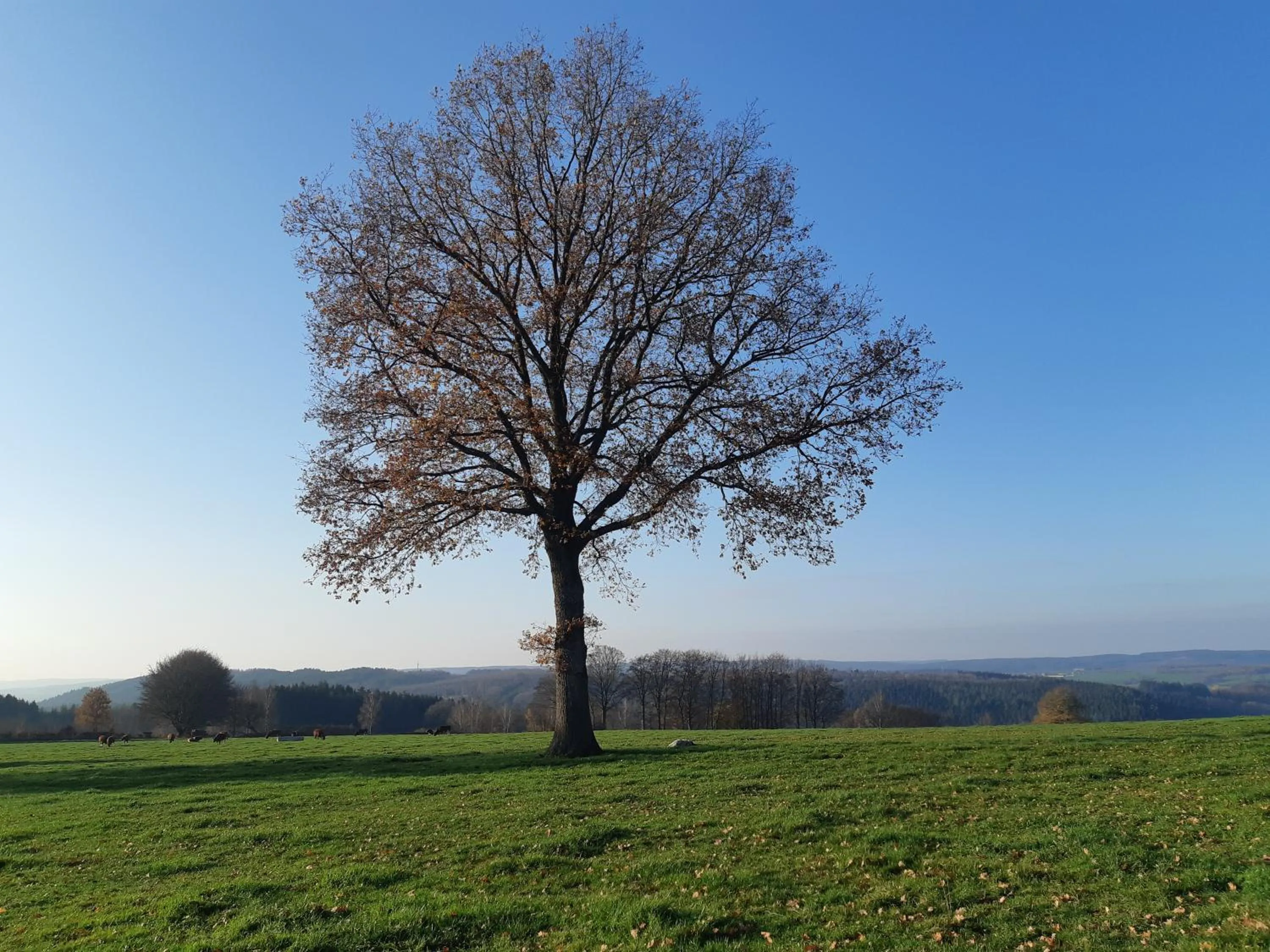 Natural landscape in B&B Caprice d'Epices