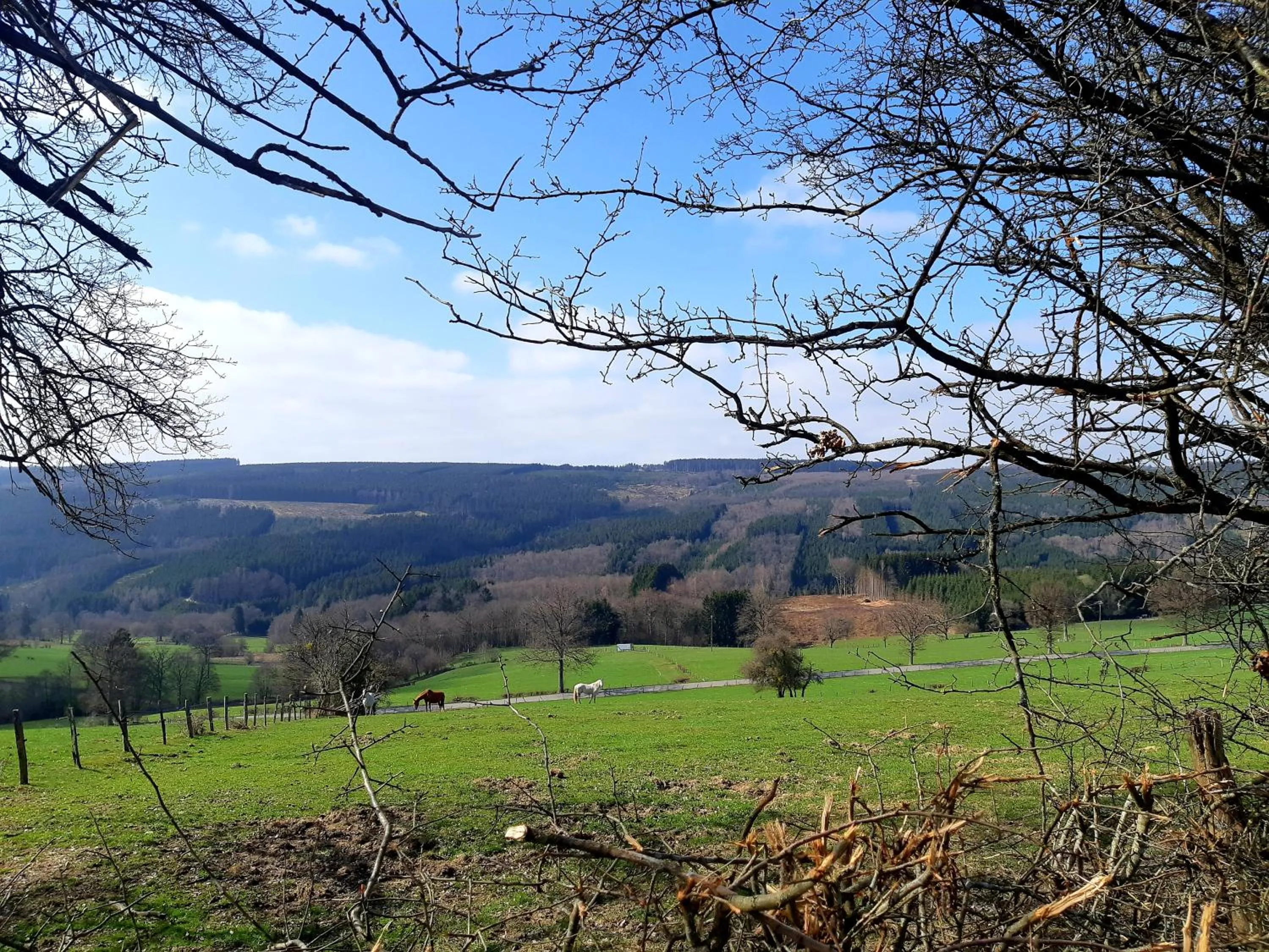 Hiking in B&B Caprice d'Epices