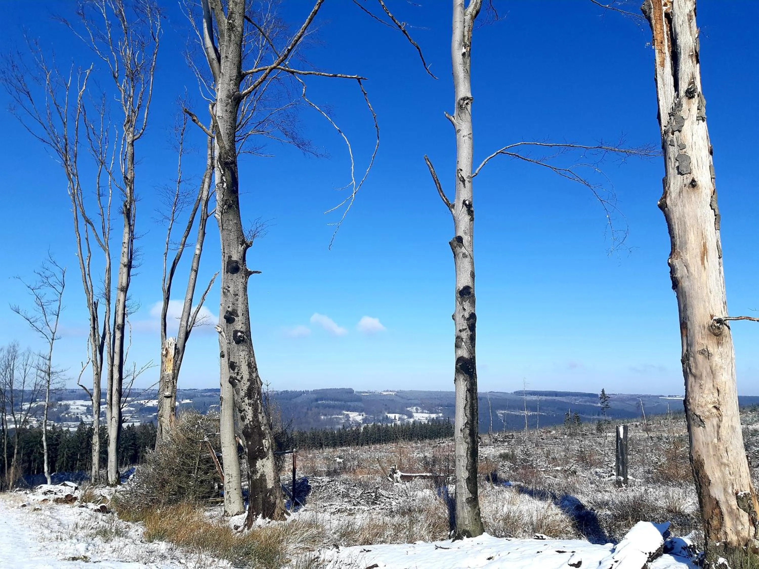 Natural landscape in B&B Caprice d'Epices