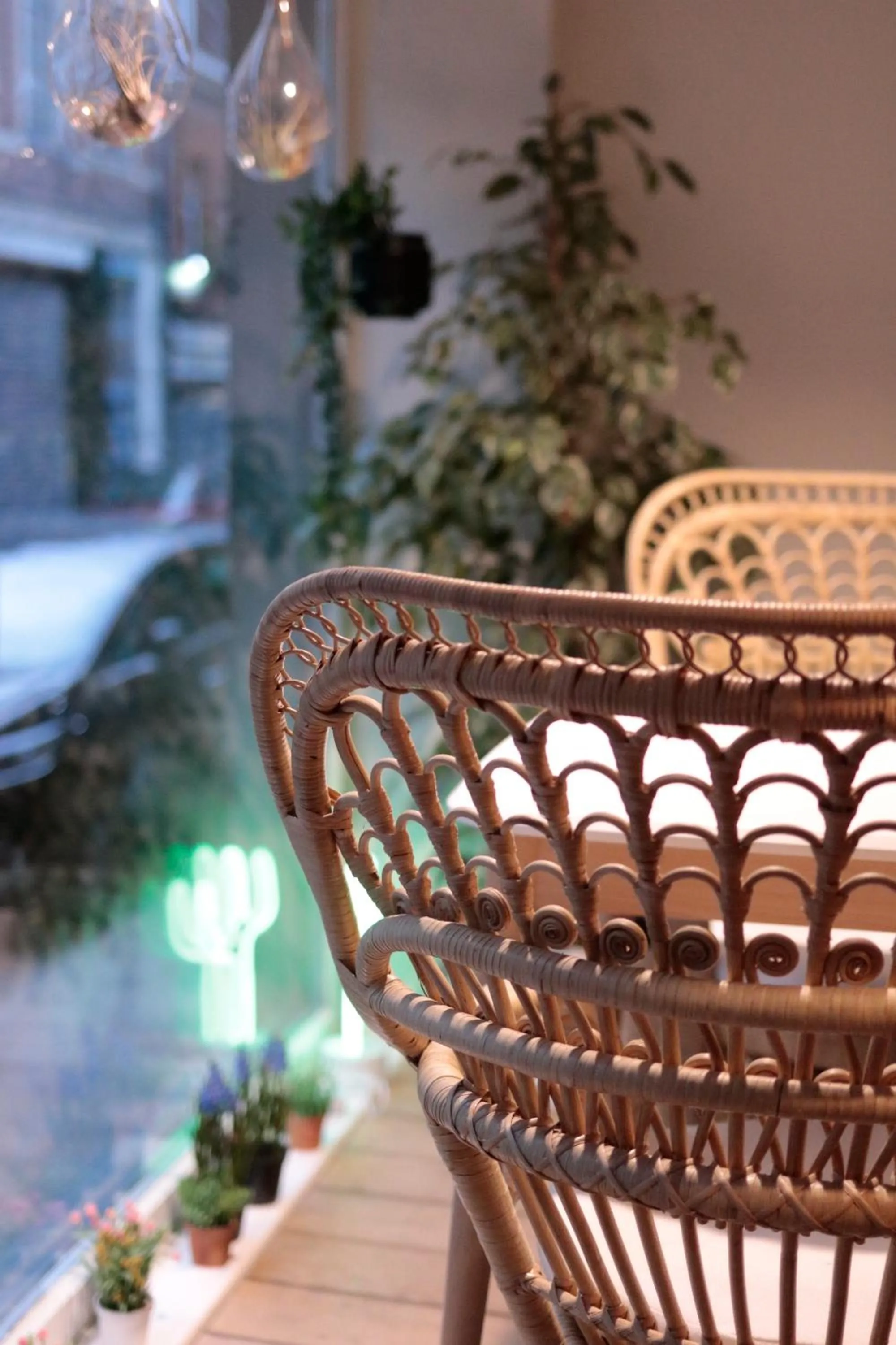 Patio in The People - Lille