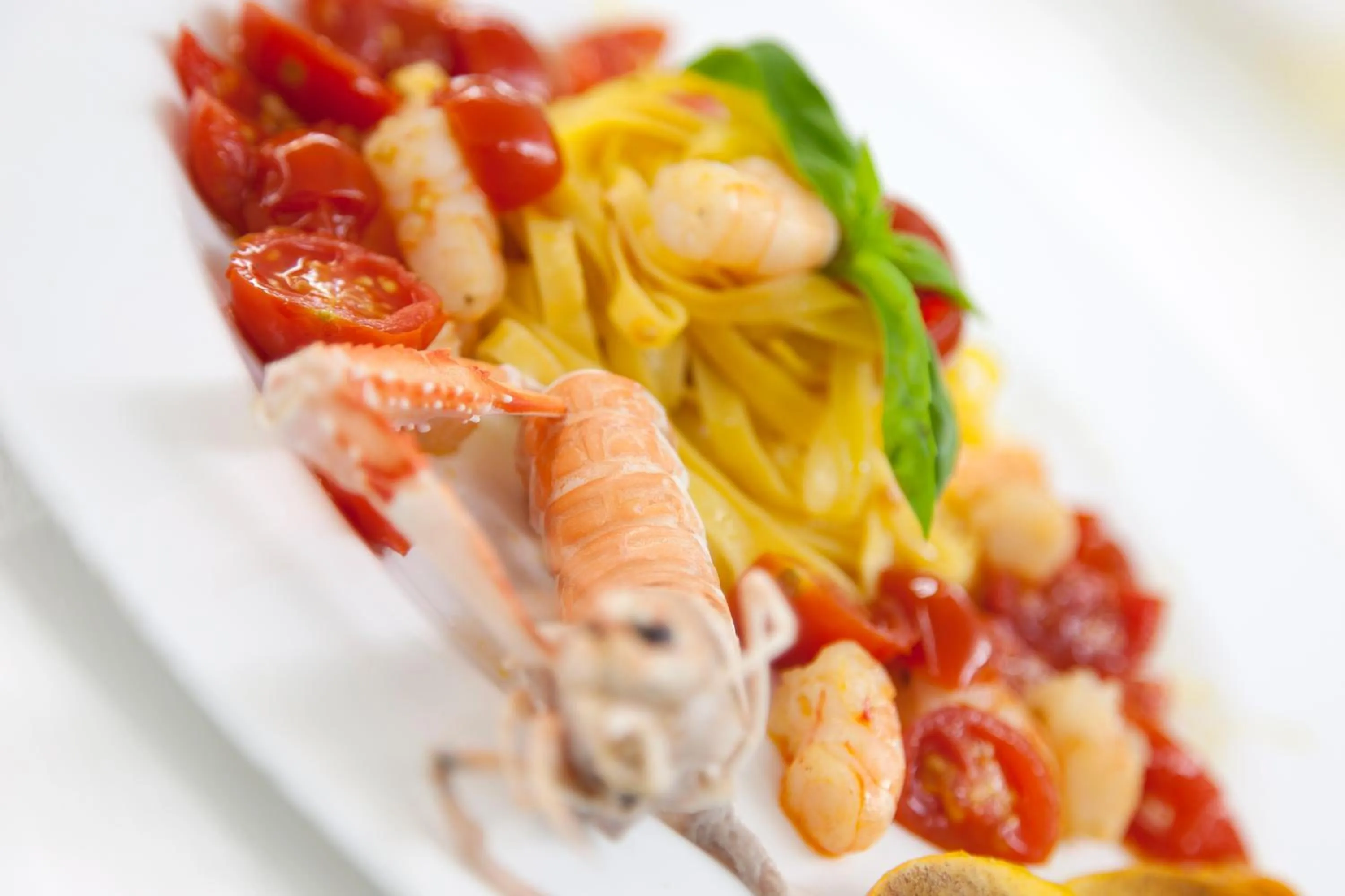 Food in Hotel Mistral