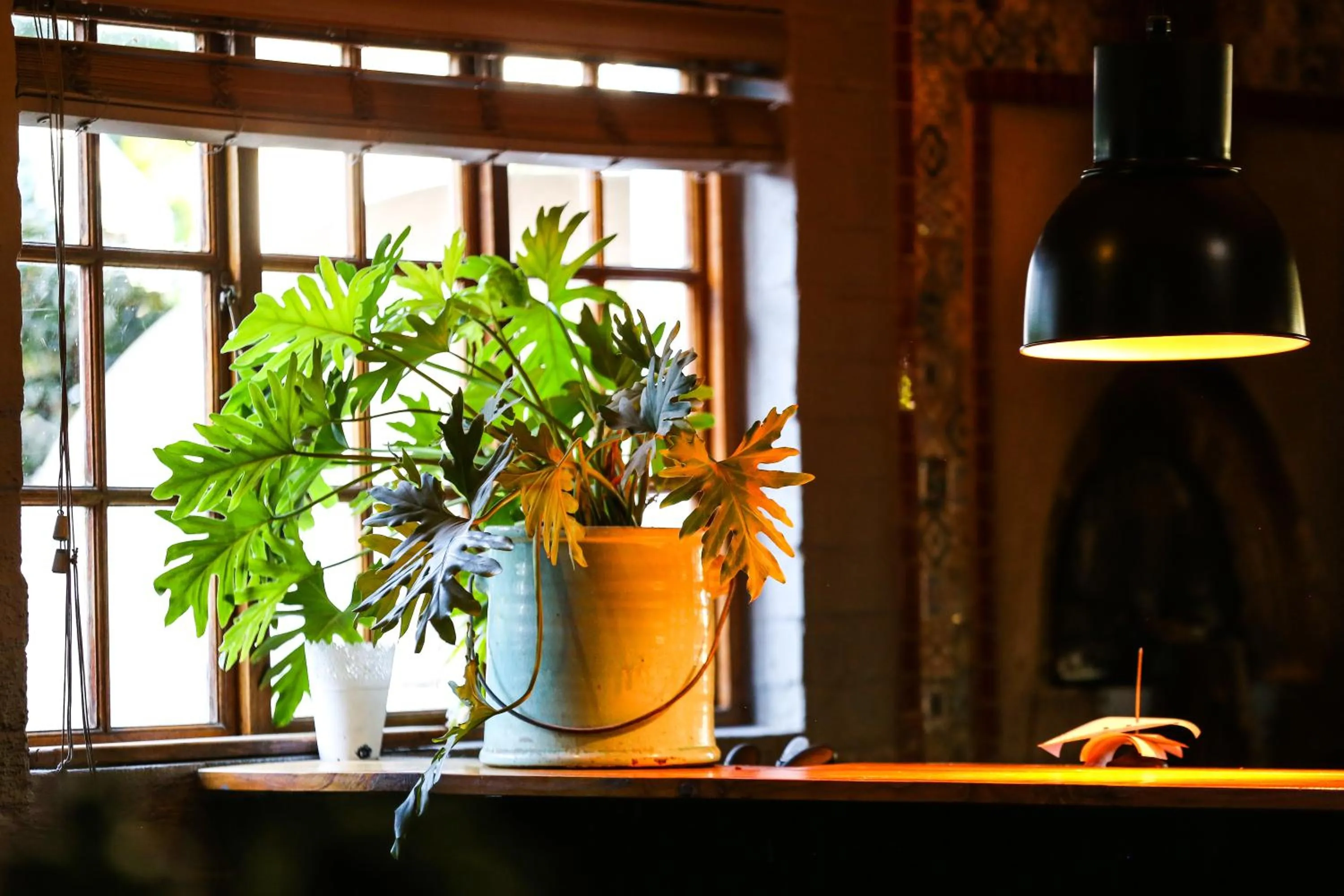 Restaurant/places to eat in The Nottingham Road Hotel