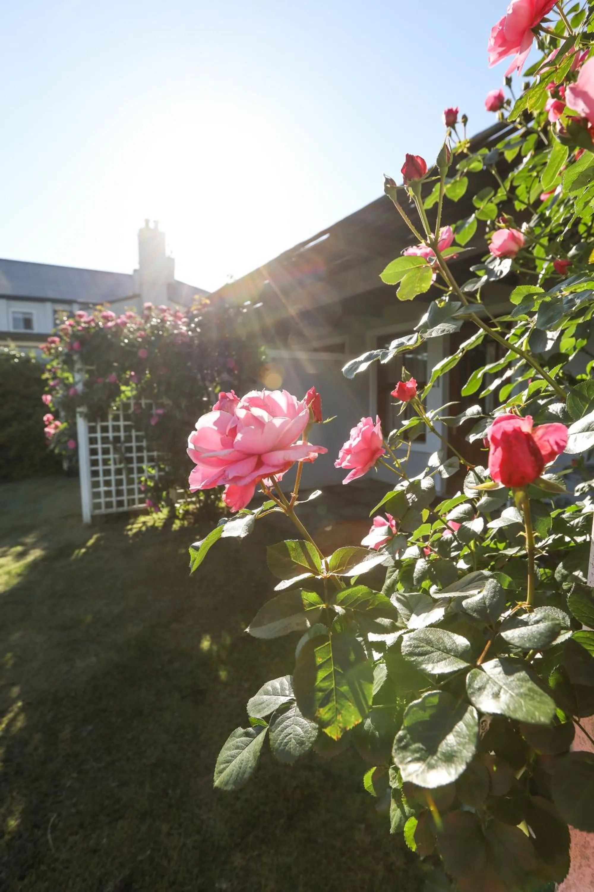 Spring in The Nottingham Road Hotel