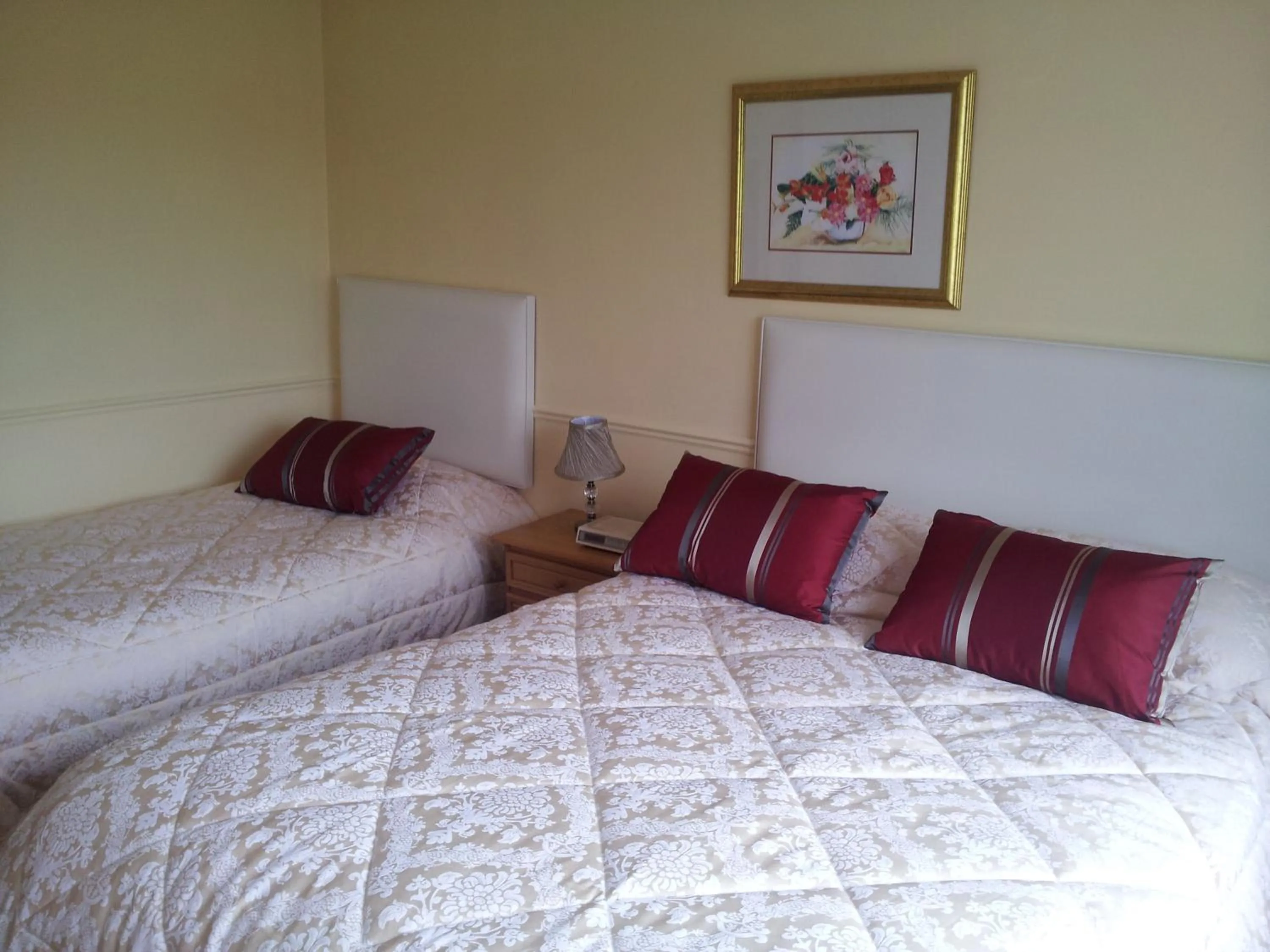 Bedroom, Bed in Tir Na Nog B&B