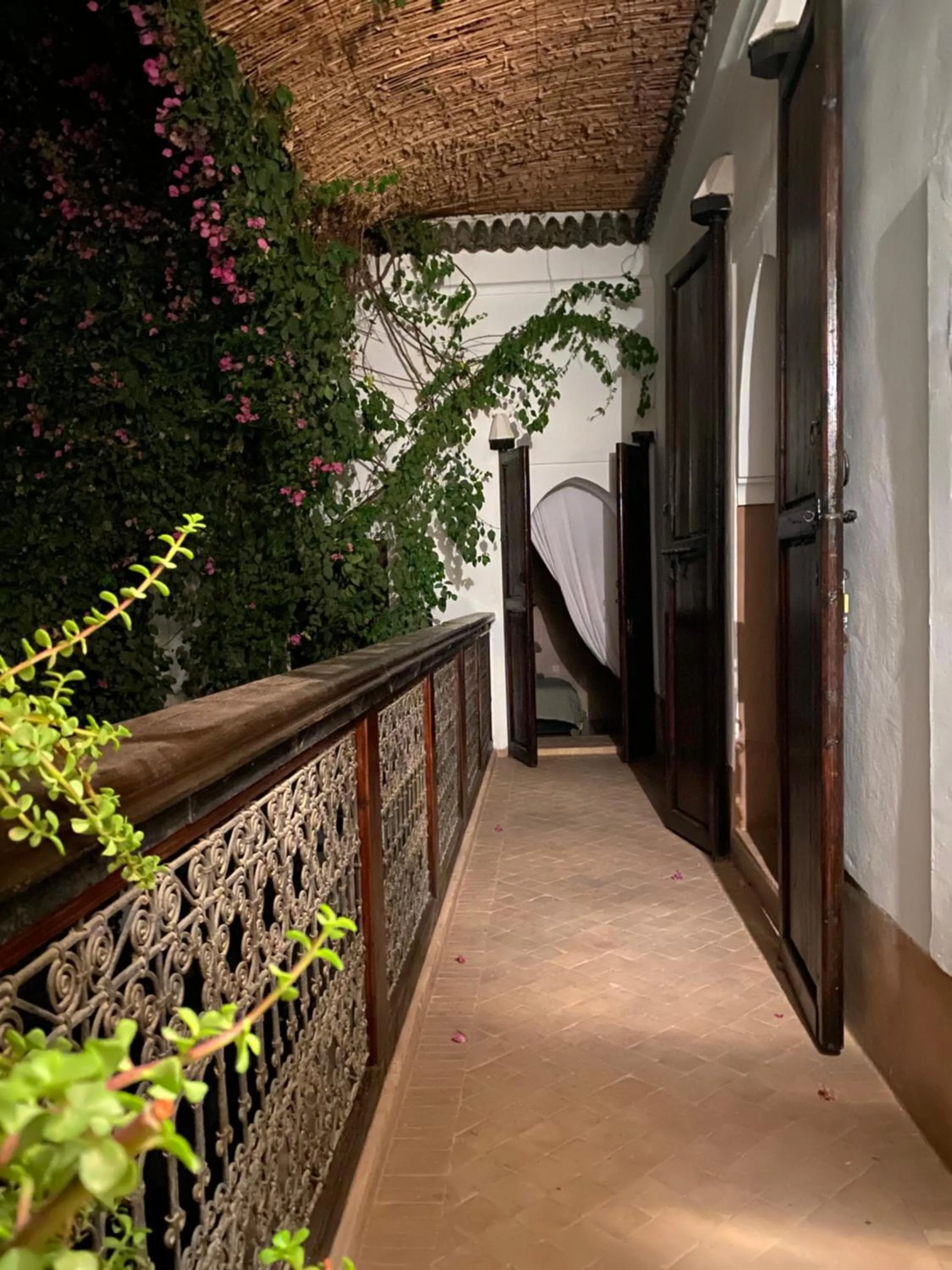 Garden view in Riad Wabisabi