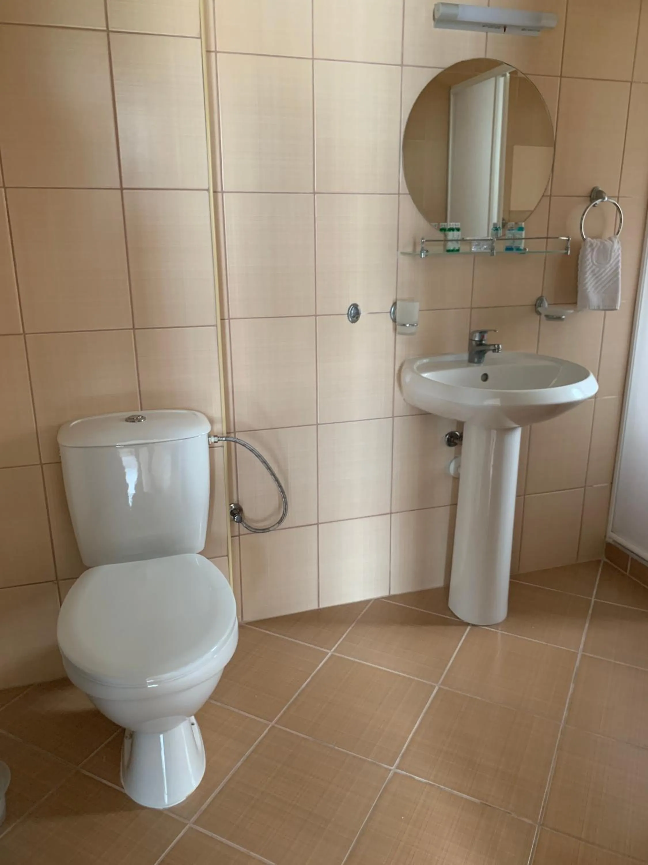 Toilet in Family Hotel Piter