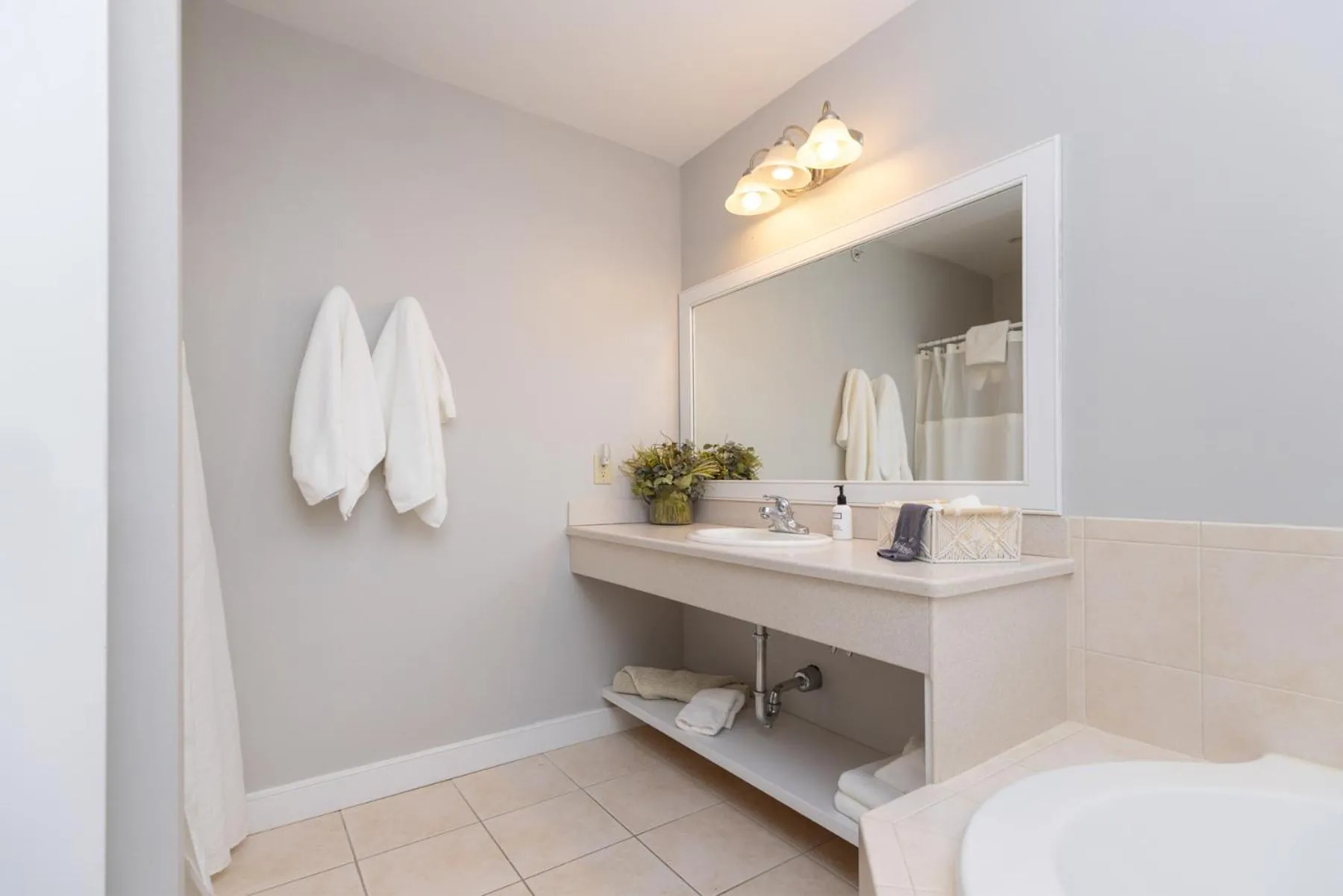 Toilet in Selinsgrove Inn