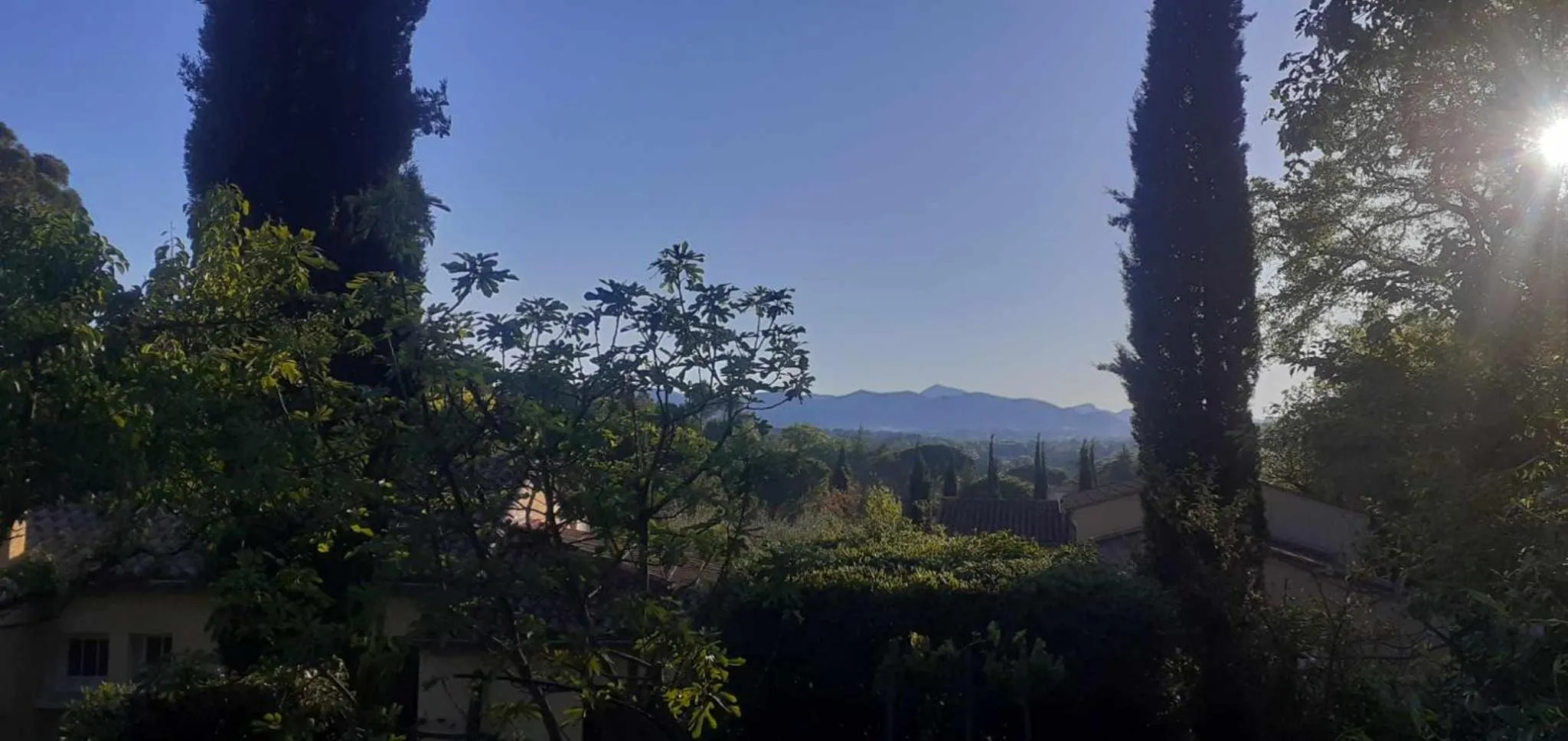 Les Verveines de Vaison