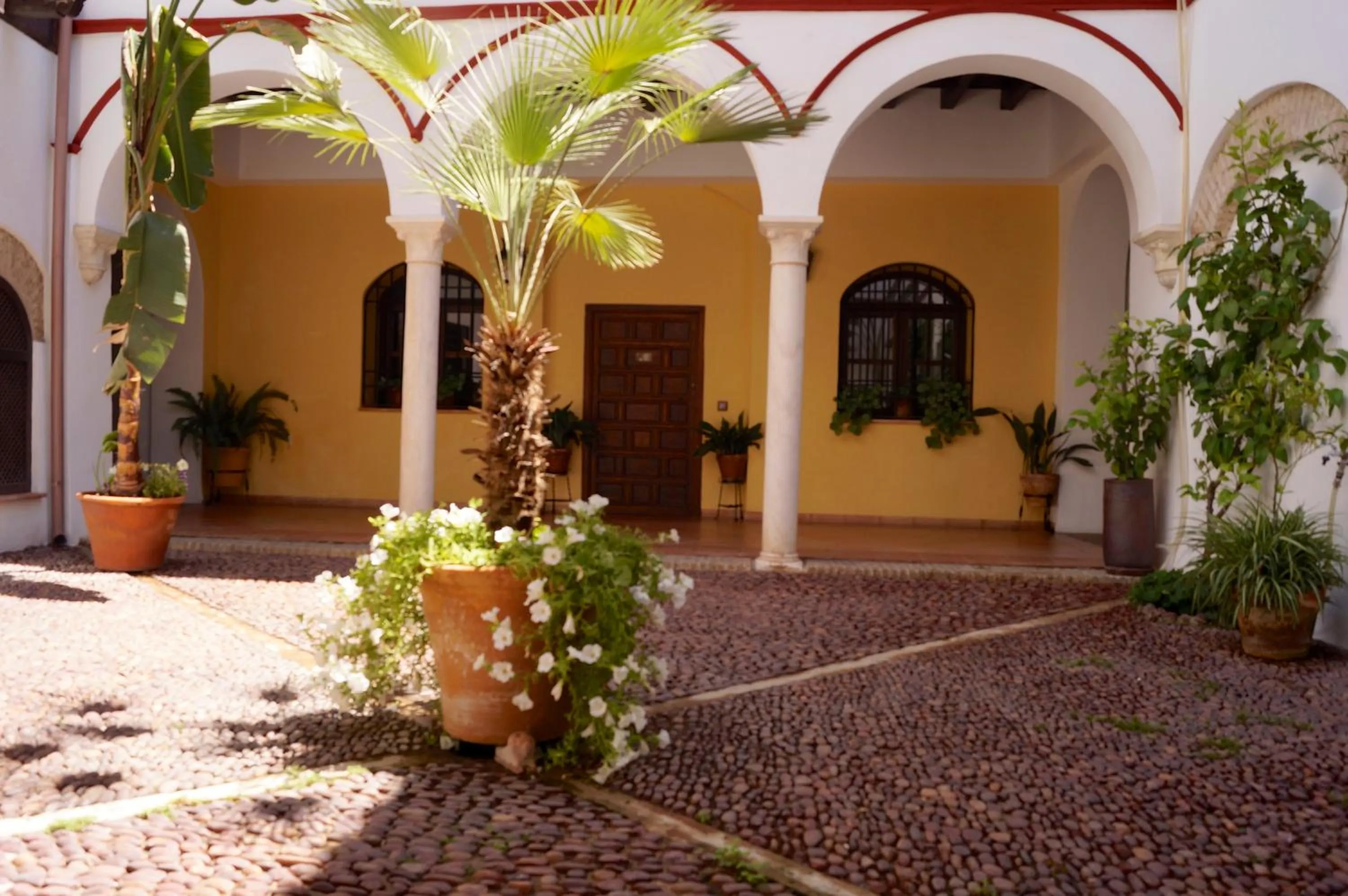 Patio in Apartamentos Los Patios de la Judería