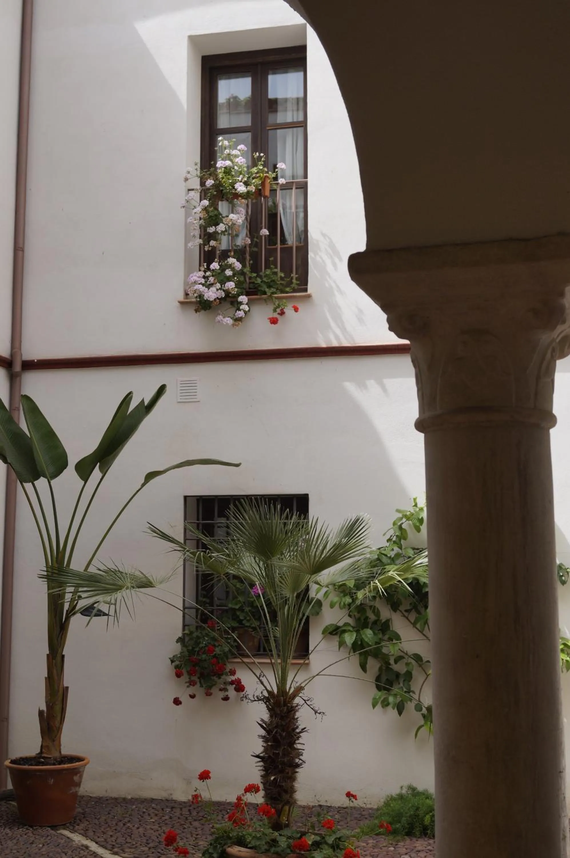 Patio in Apartamentos Los Patios de la Judería