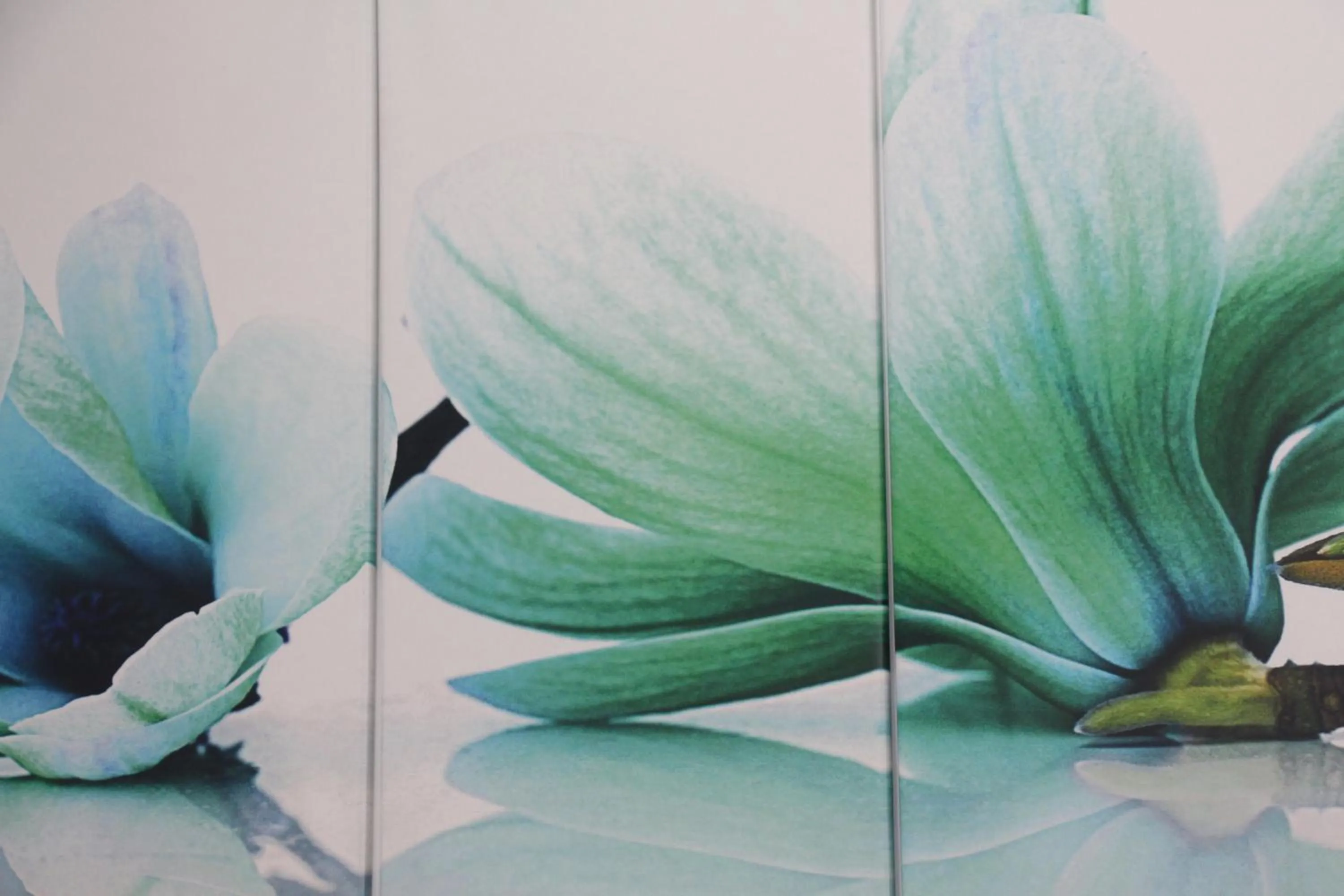 Villa Toni Design Apartments