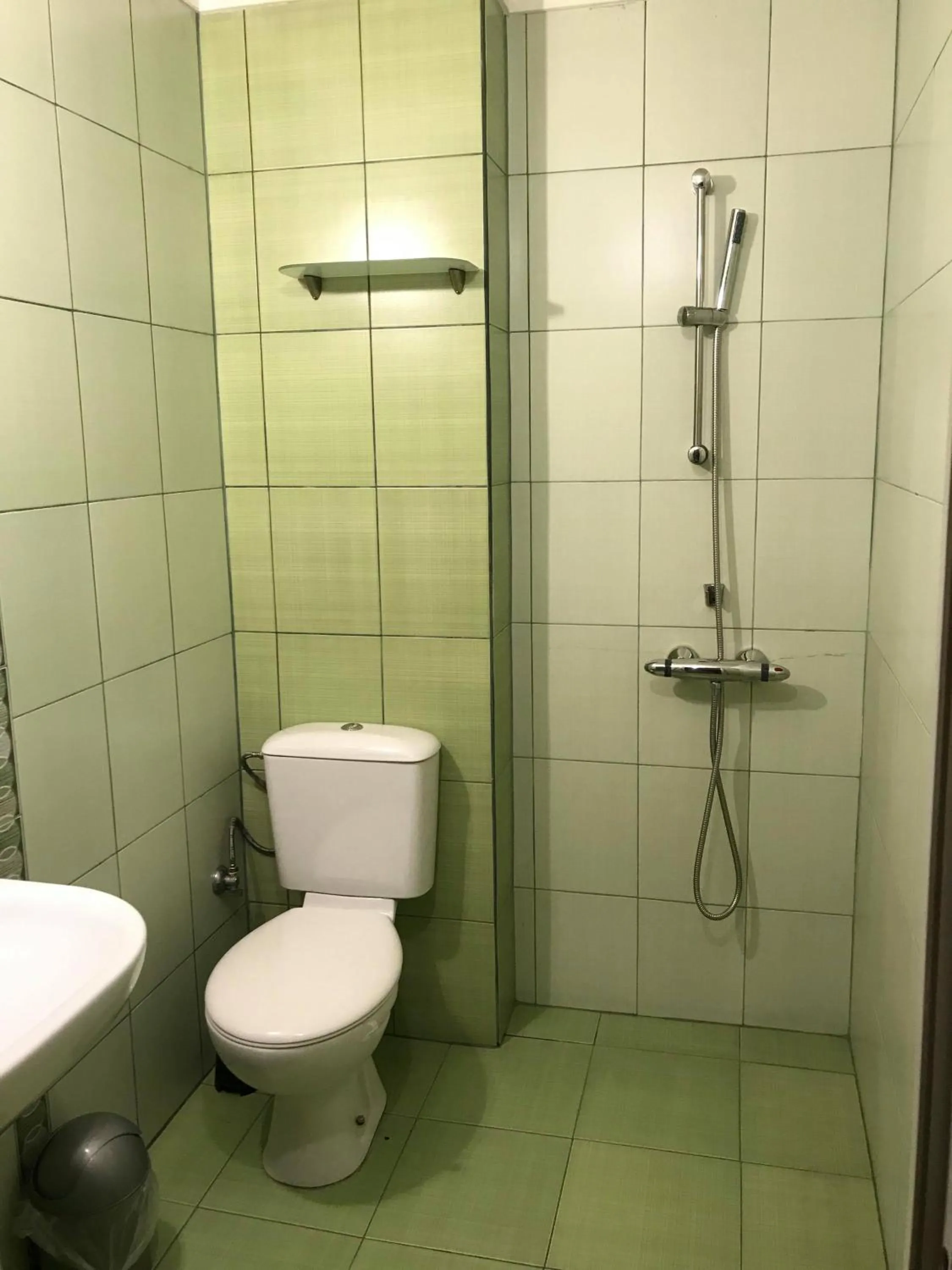 Shower in Pop Bogomil family hotel