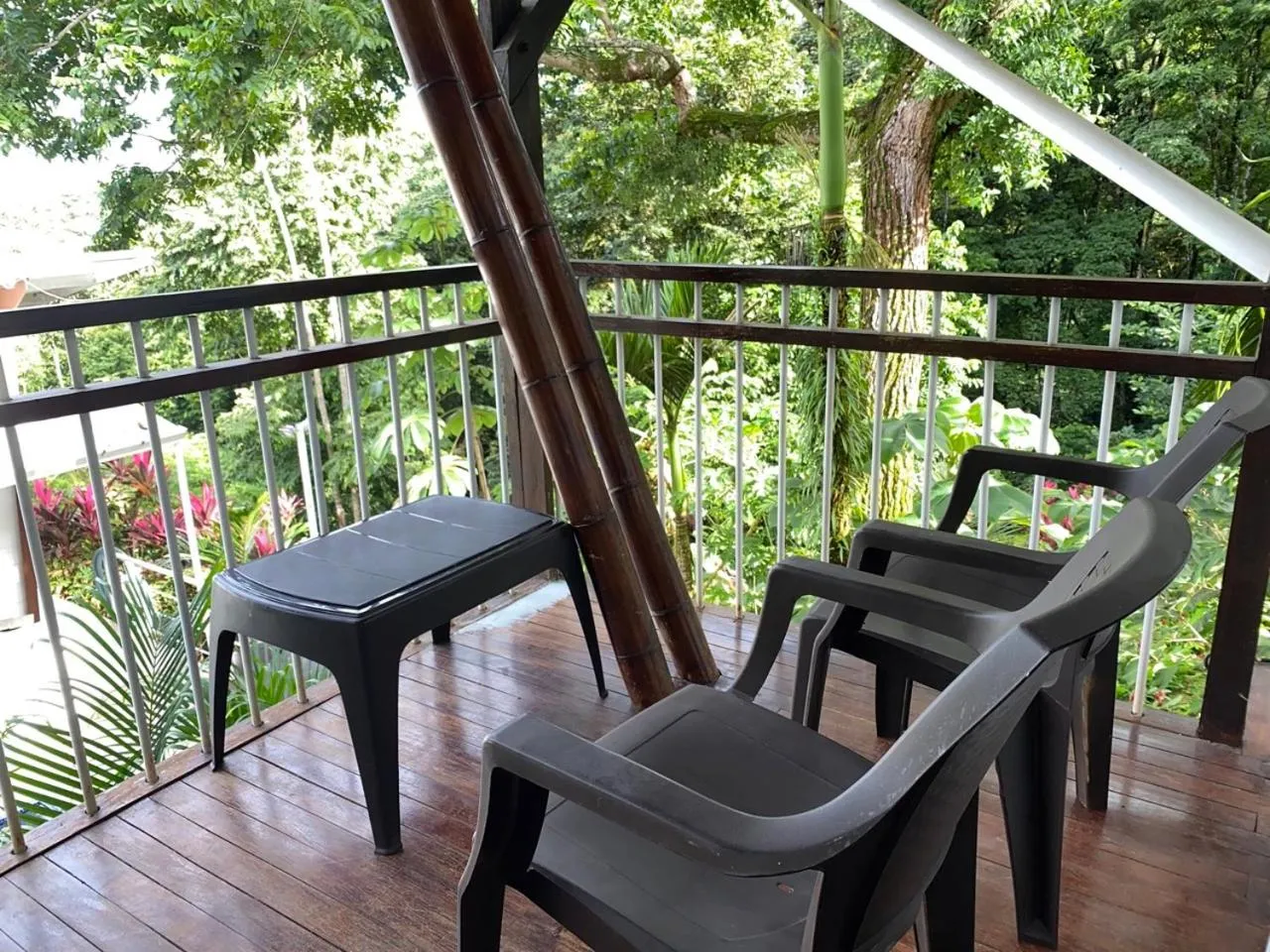 Ballena Dorada Lodge