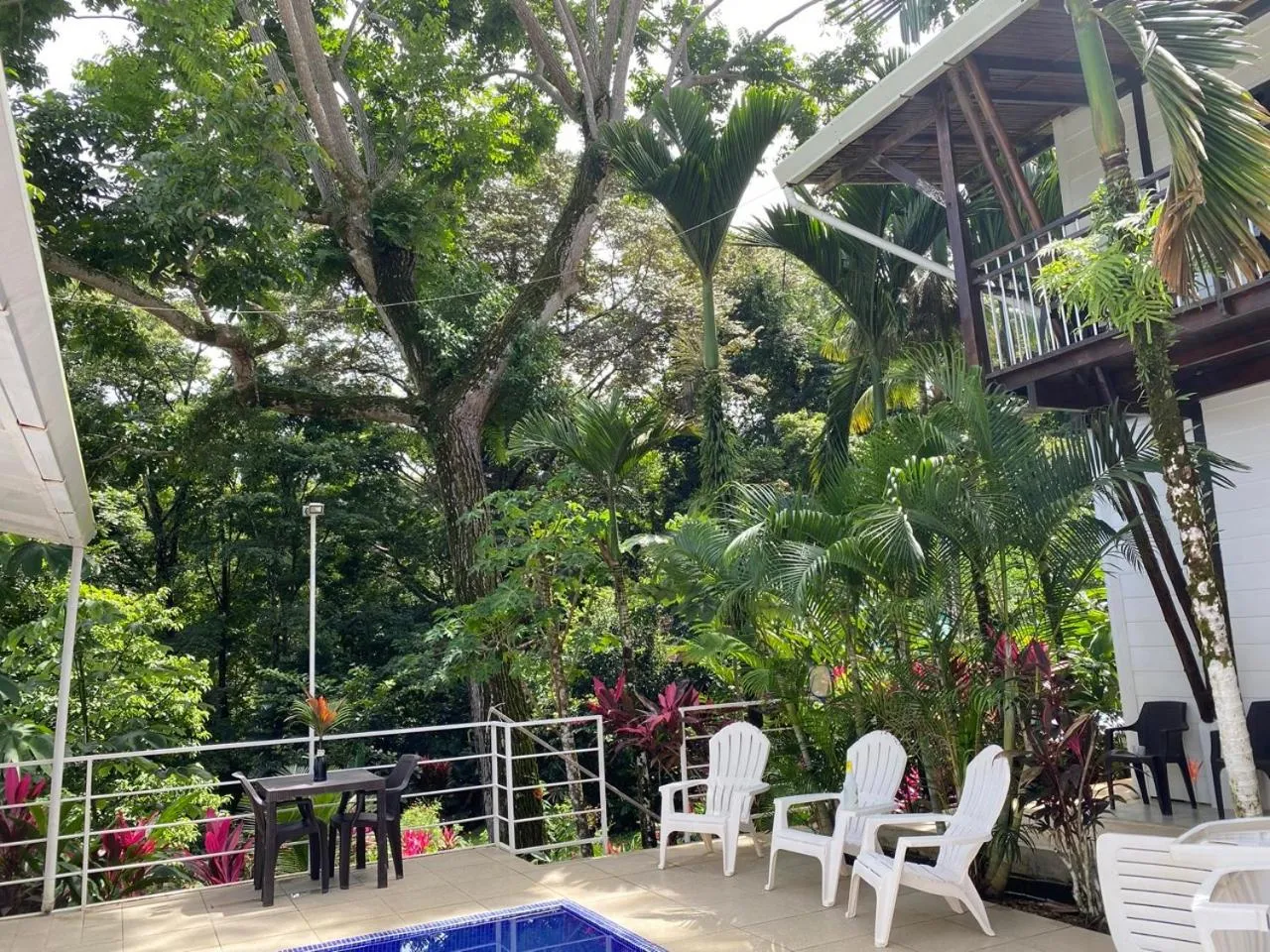 Ballena Dorada Lodge