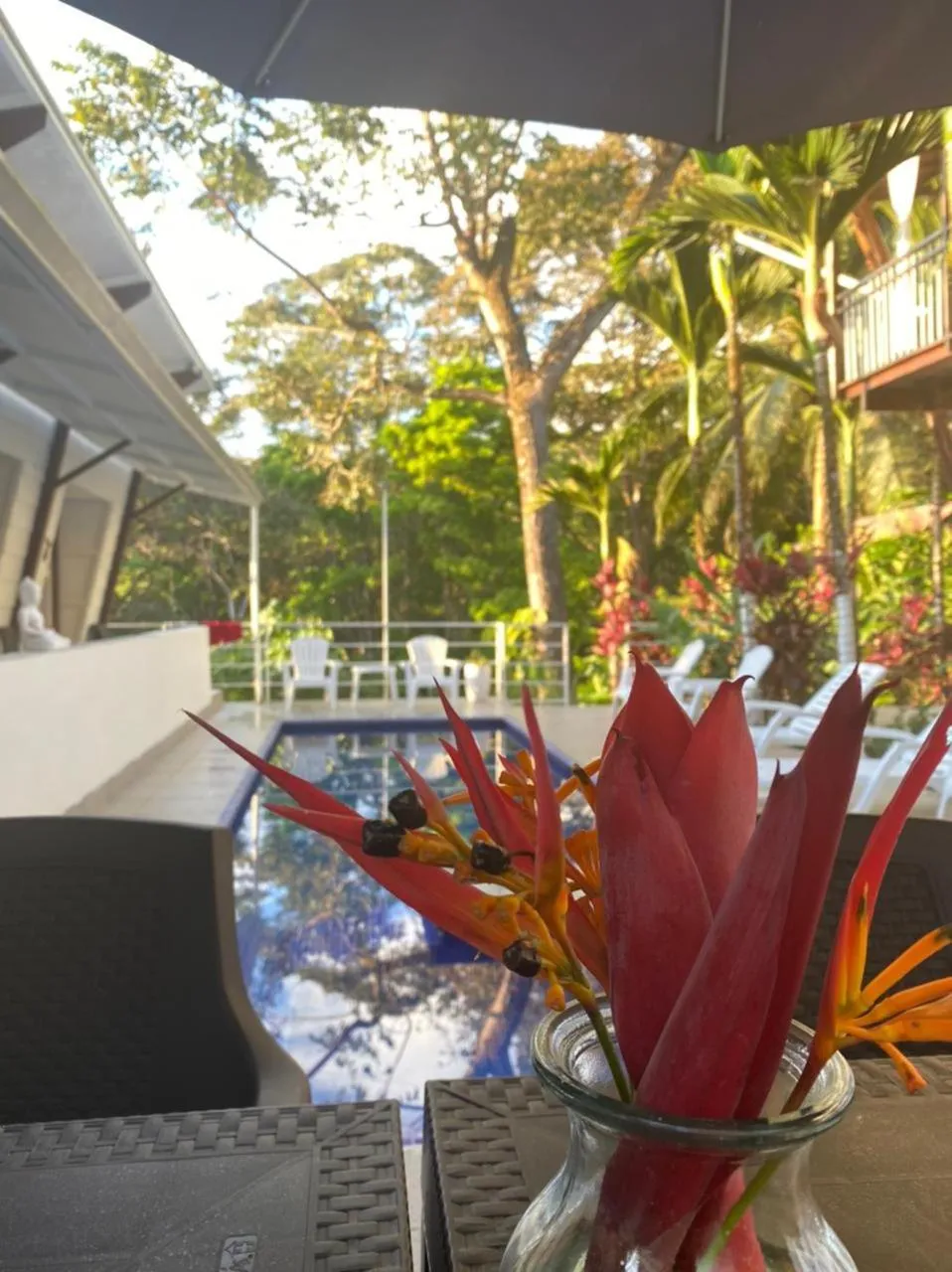 Ballena Dorada Lodge