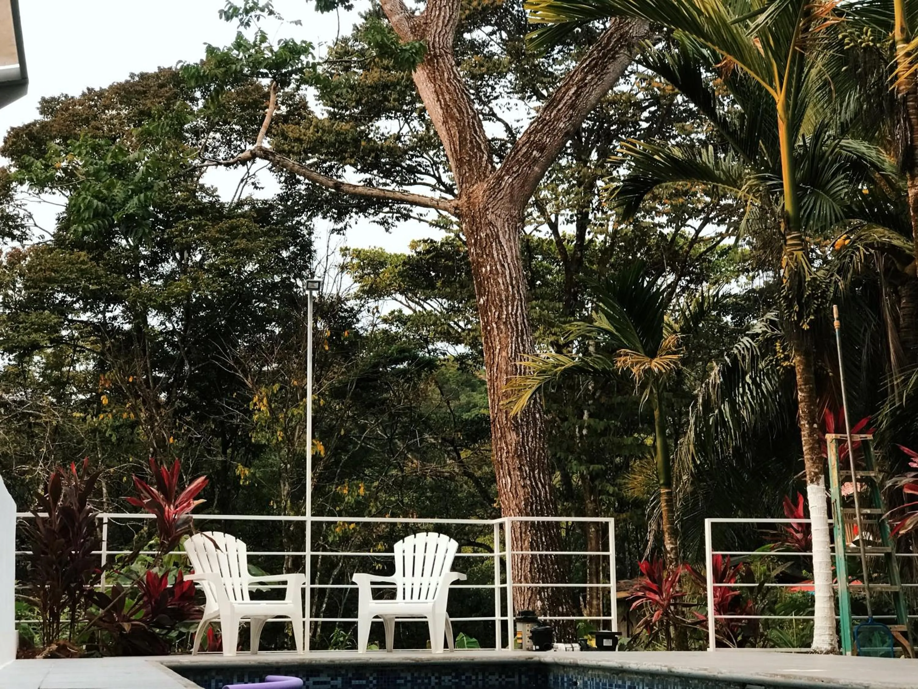 Ballena Dorada Lodge