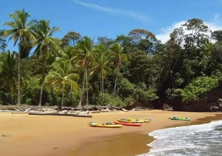 SURF HOUSE ESTILO LIBRE